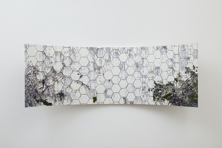 Chiki | Contemporary Art Library