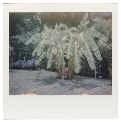 Image 10 of 18