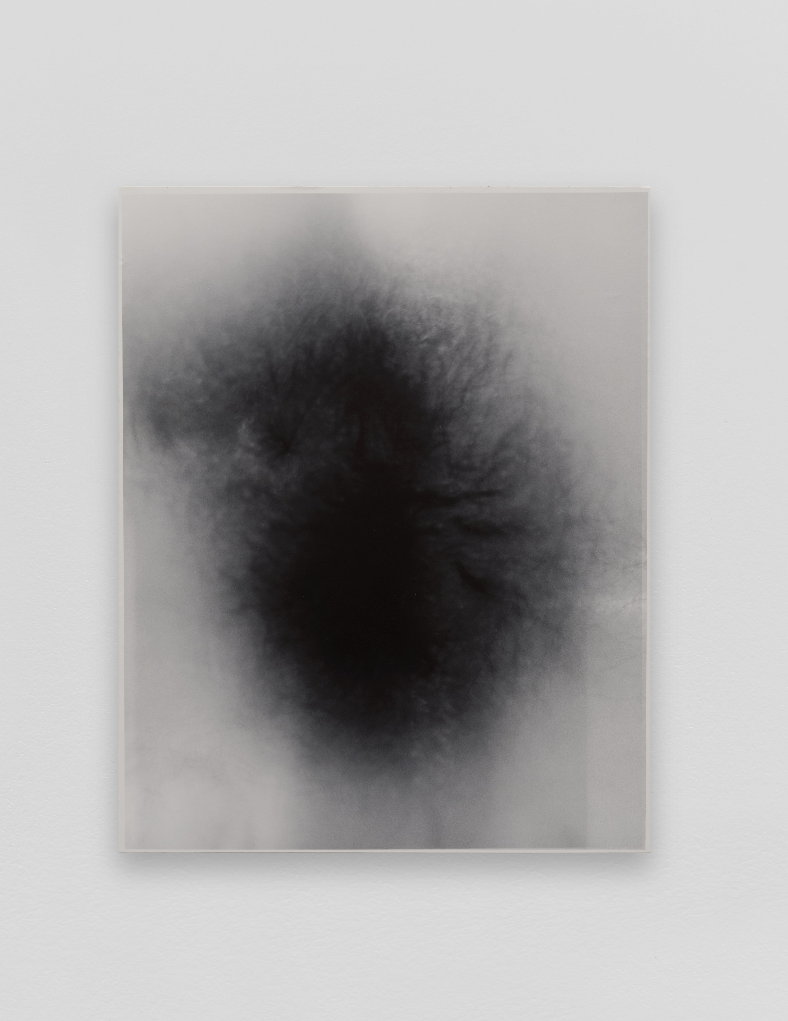 Marie Angeletti, Merlin Carpenter, DeSe Escobar, Peter Fischli, Kim Gordon, Richard Hawkins, Jacqueline Humphries, Morag Keil, Jutta Koether, Marc Kokopeli, Klara Lidén, Albert Oehlen, Yair Oelbaum, Richard Prince, Josephine Pryde, Christopher Kulendran Thomas, SoiL Thornton, John Waters, image 53 of 64