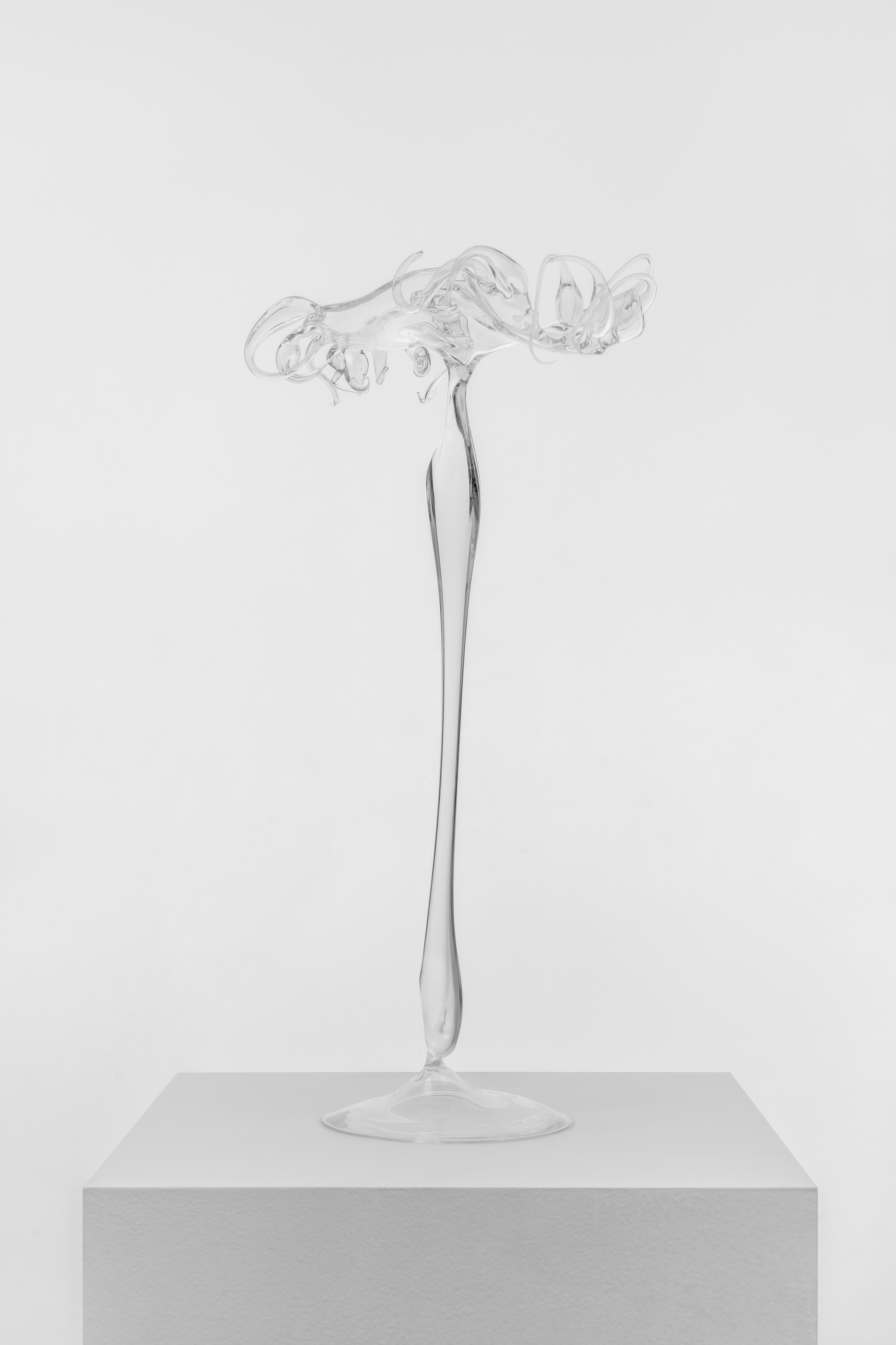 Aaron Angell, Claire Oswalt, Elise Nguyen Quoc, Brink at Museum St, photo 23