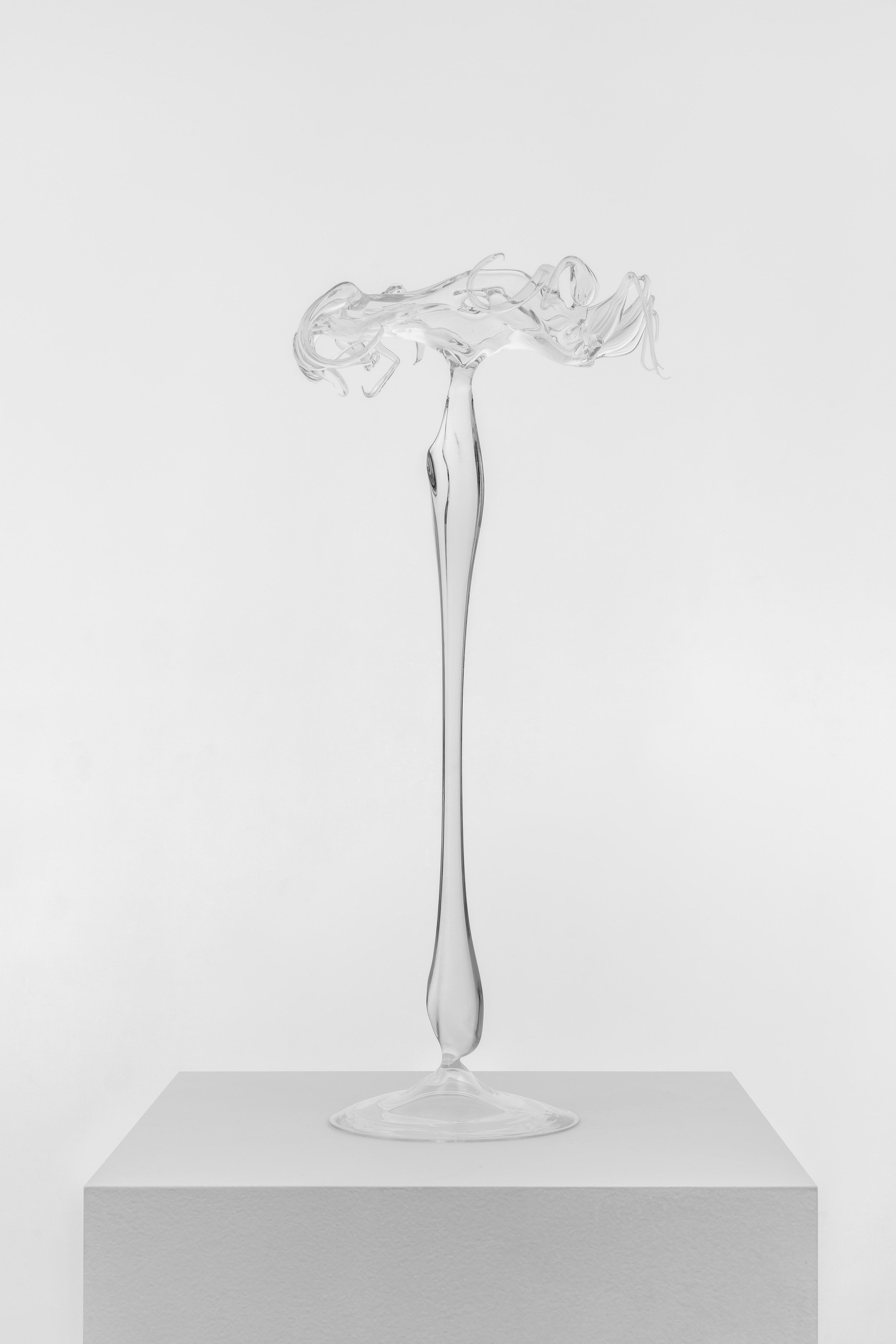 Aaron Angell, Claire Oswalt, Elise Nguyen Quoc, Brink at Museum St, photo 22