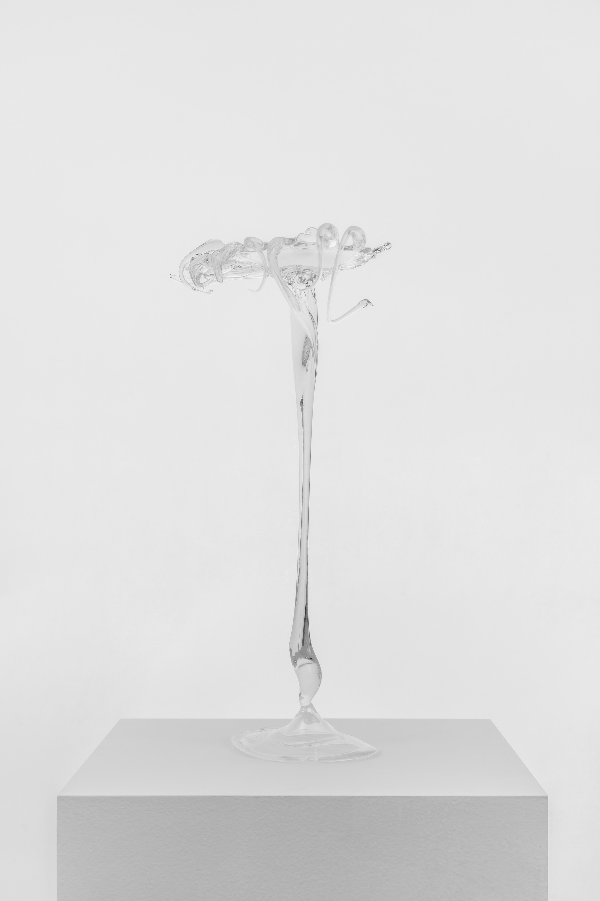 Aaron Angell, Claire Oswalt, Elise Nguyen Quoc, Brink at Museum St, photo 26
