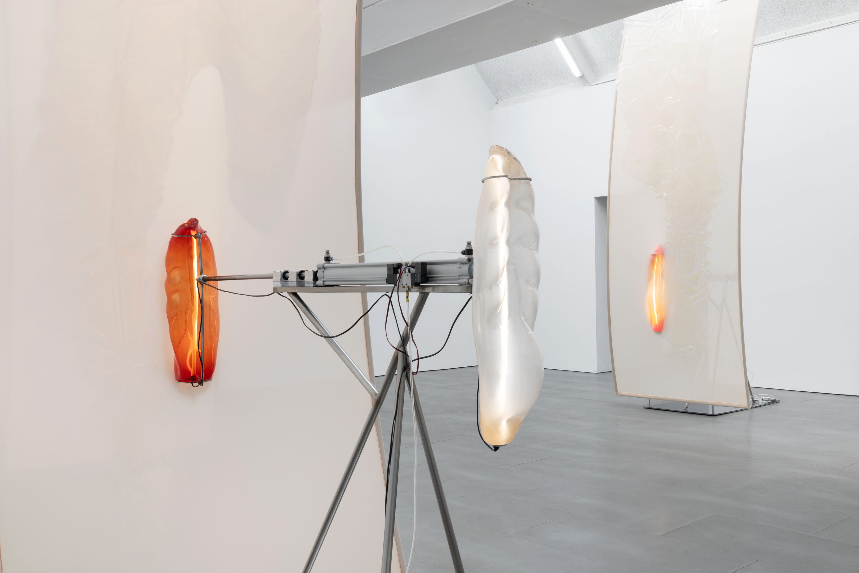 Pakui Hardware, Thresholds at Carlier Gebauer, photo 2
