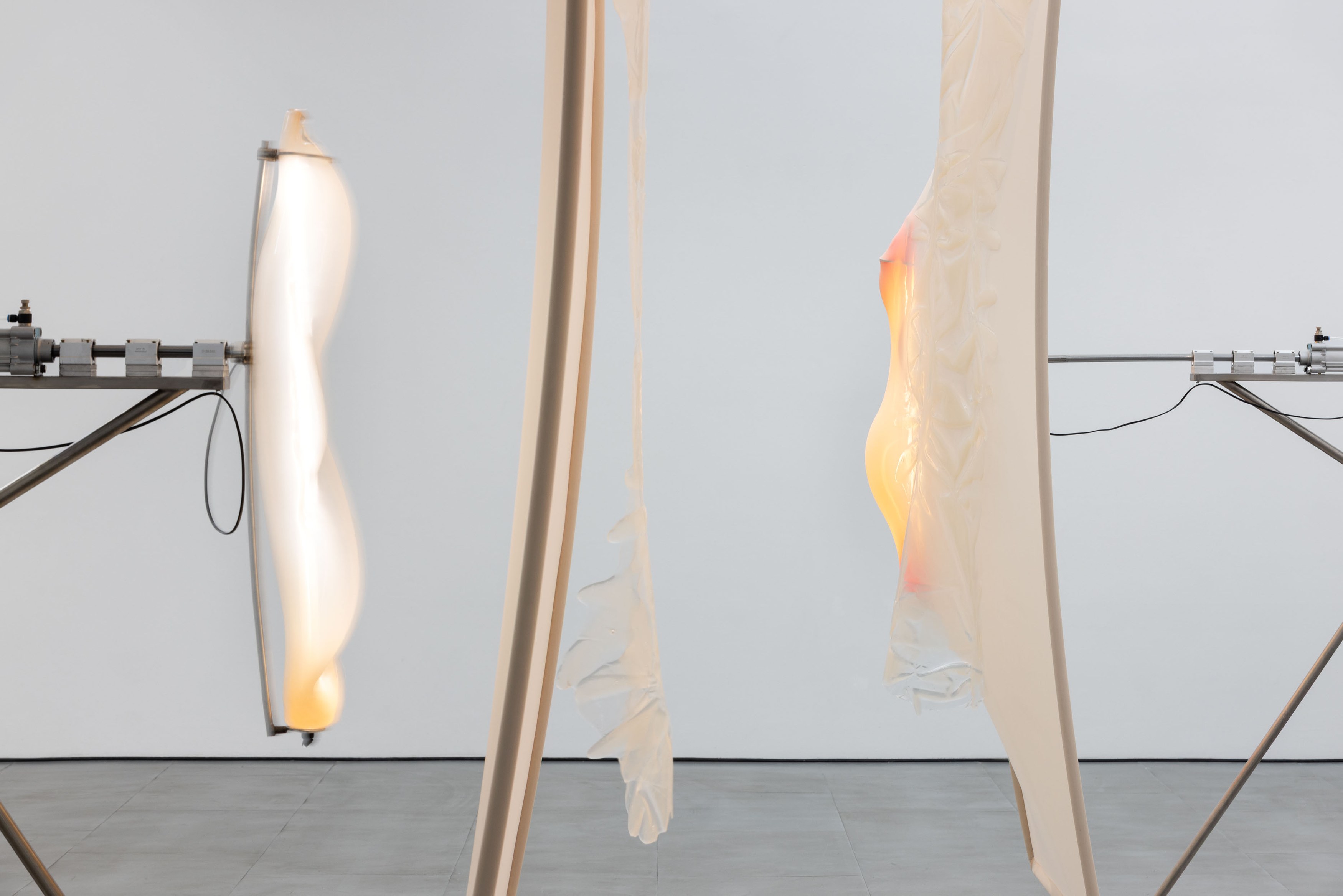 Pakui Hardware, Thresholds at Carlier Gebauer, photo 7