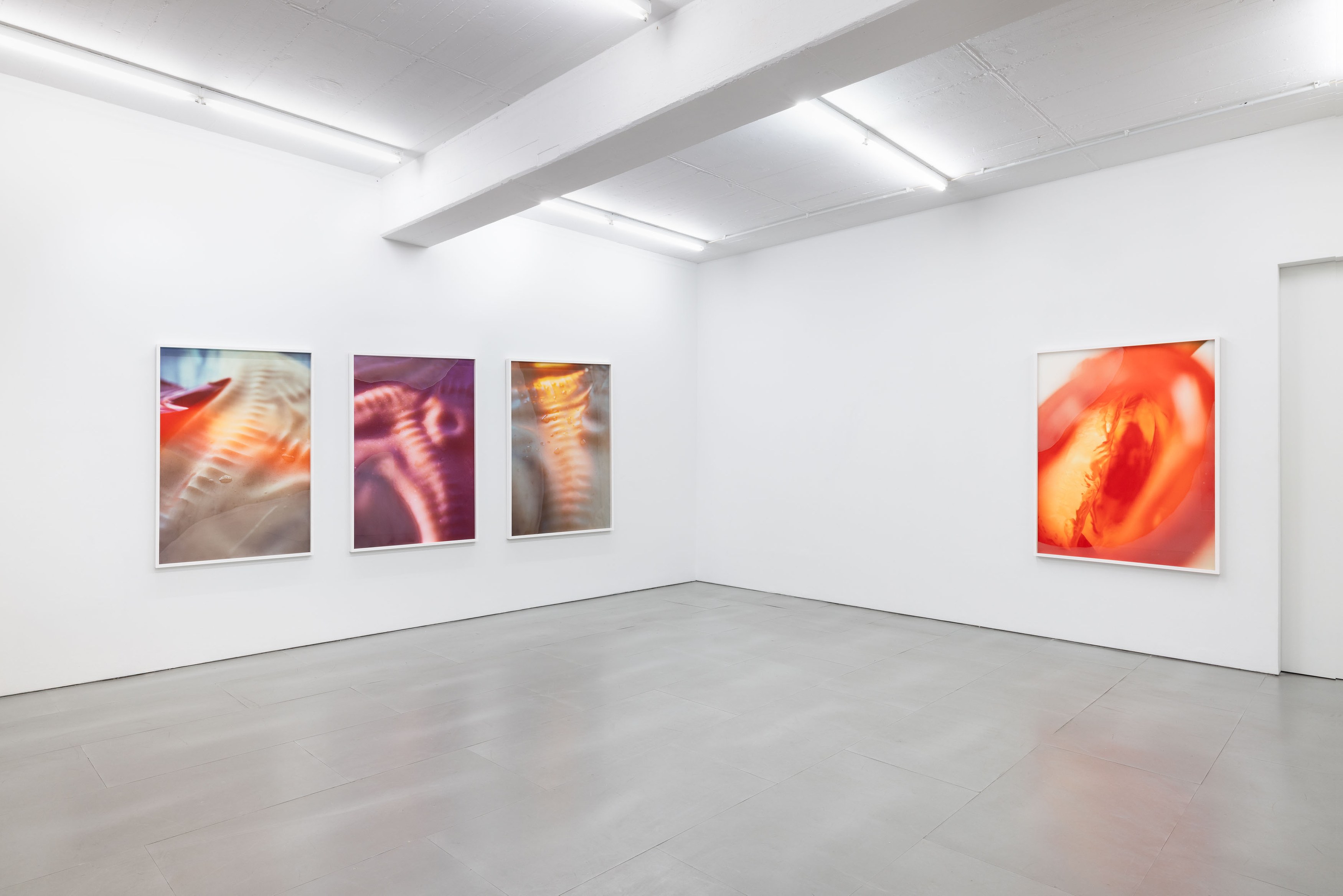 Pakui Hardware, Thresholds at Carlier Gebauer, photo 9