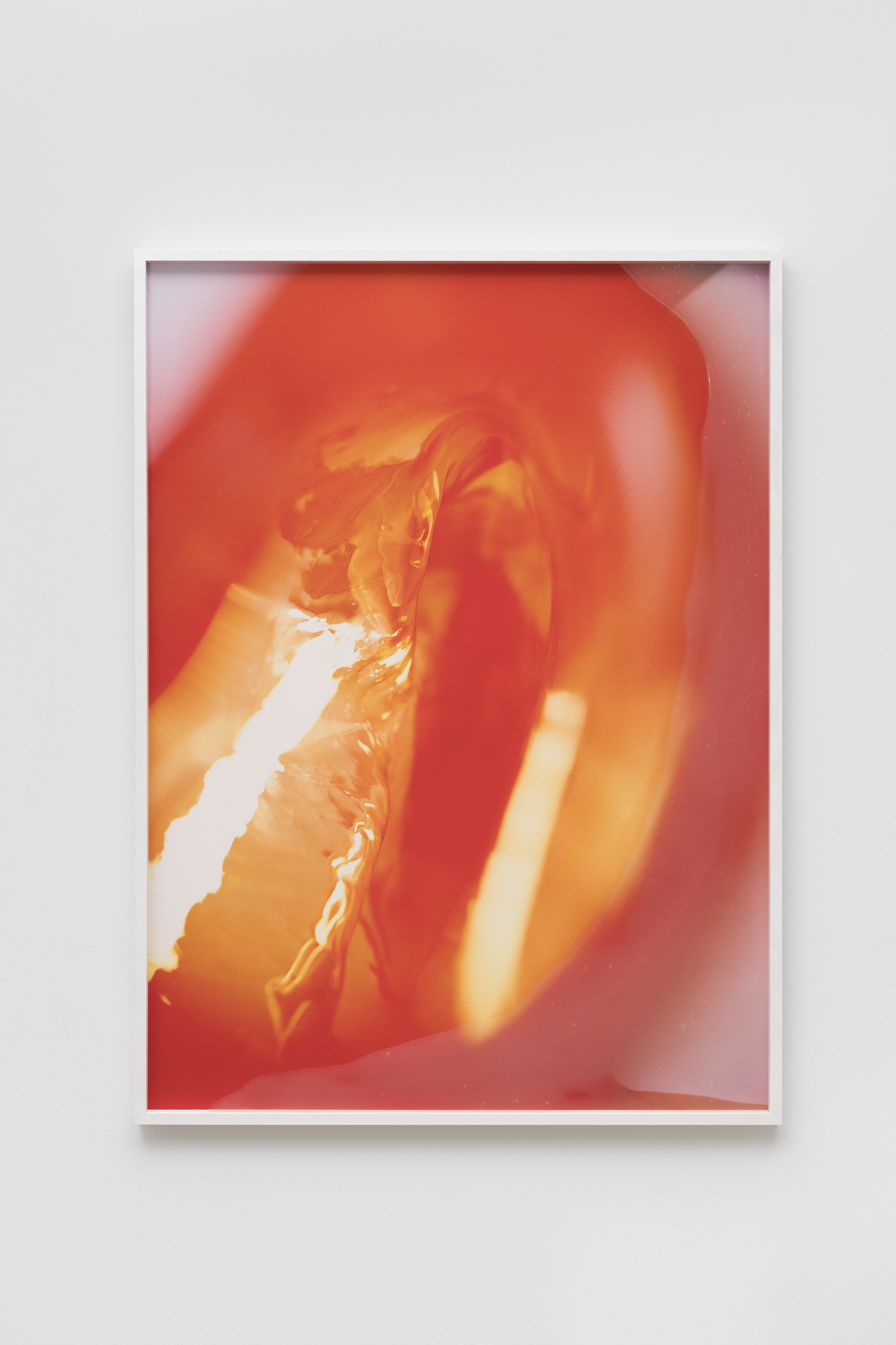 Pakui Hardware, Thresholds at Carlier Gebauer, photo 12