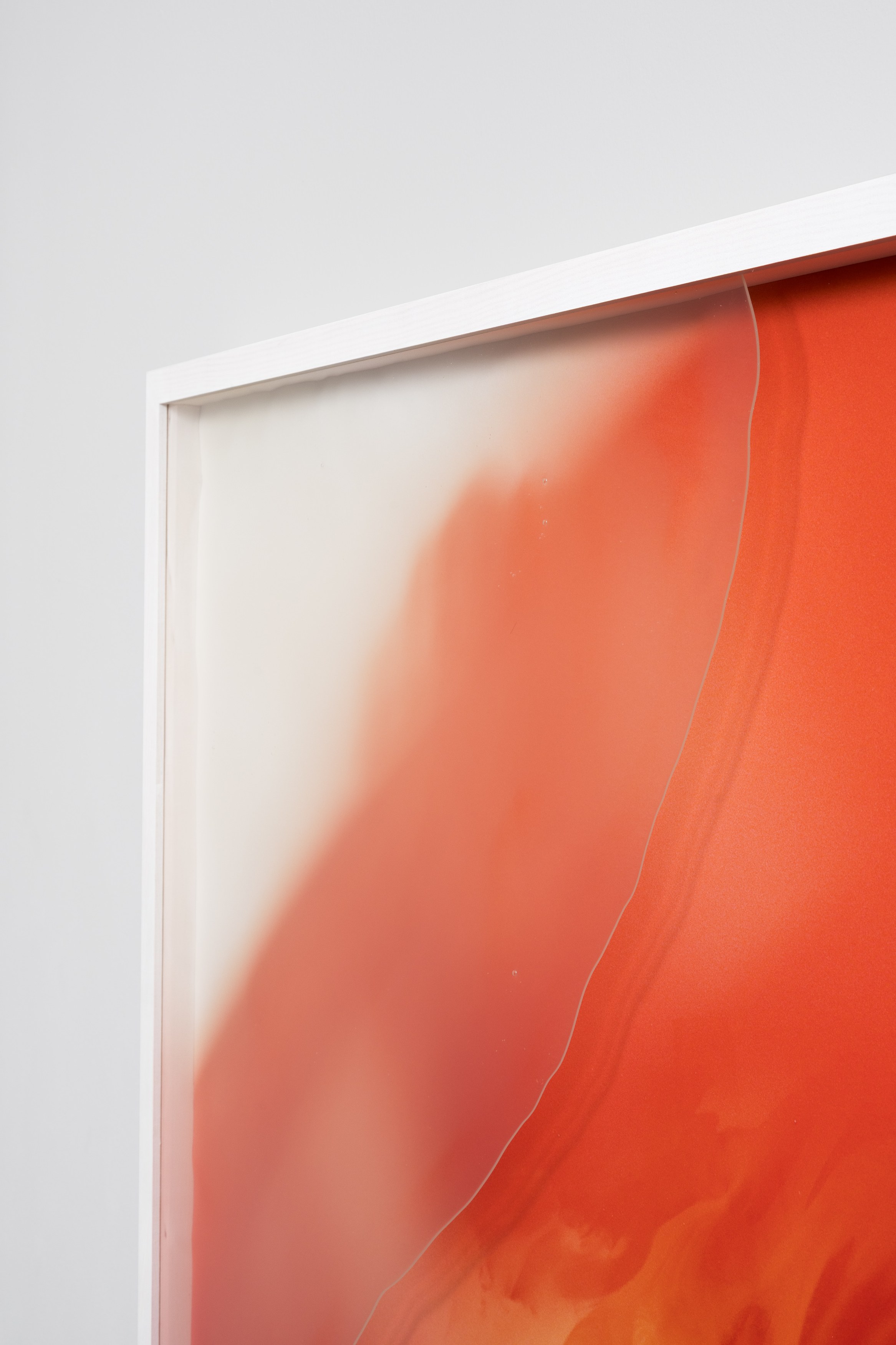 Pakui Hardware, Thresholds at Carlier Gebauer, photo 15