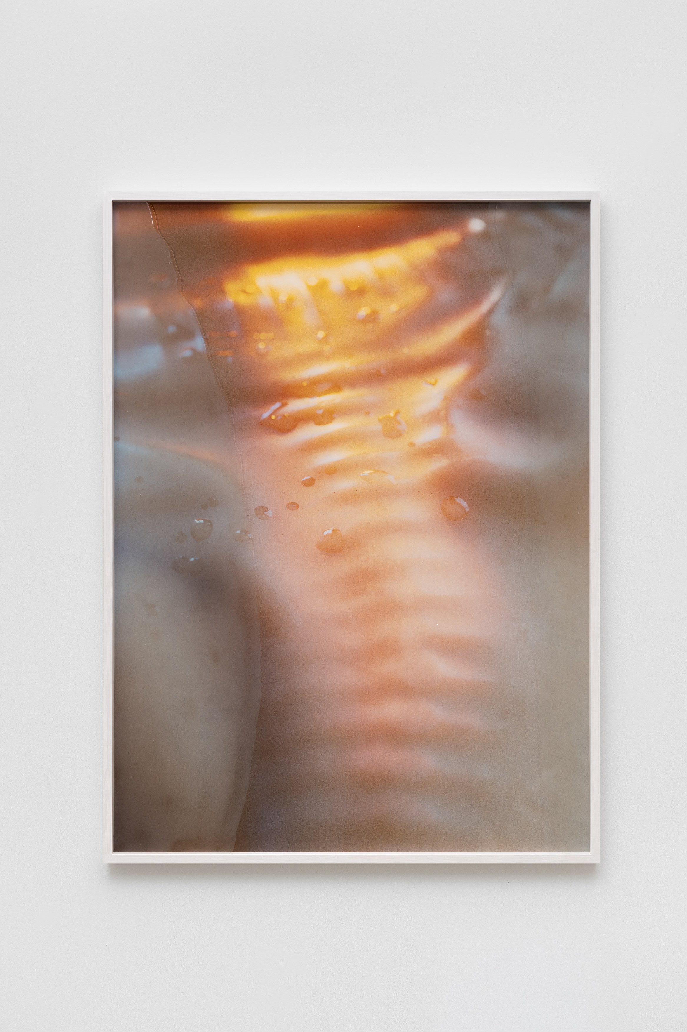 Pakui Hardware, Thresholds at Carlier Gebauer, photo 16
