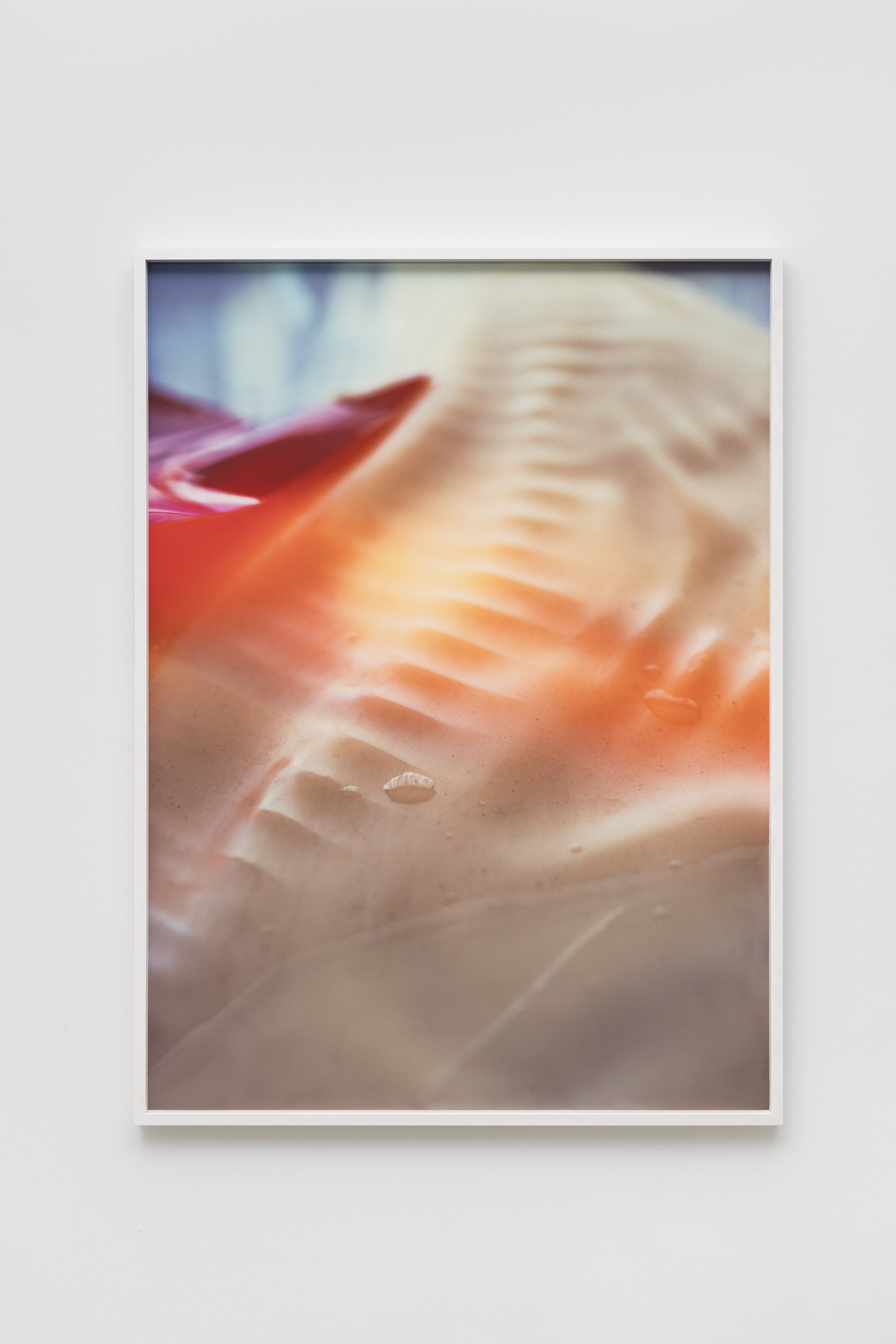 Pakui Hardware, Thresholds at Carlier Gebauer, photo 19