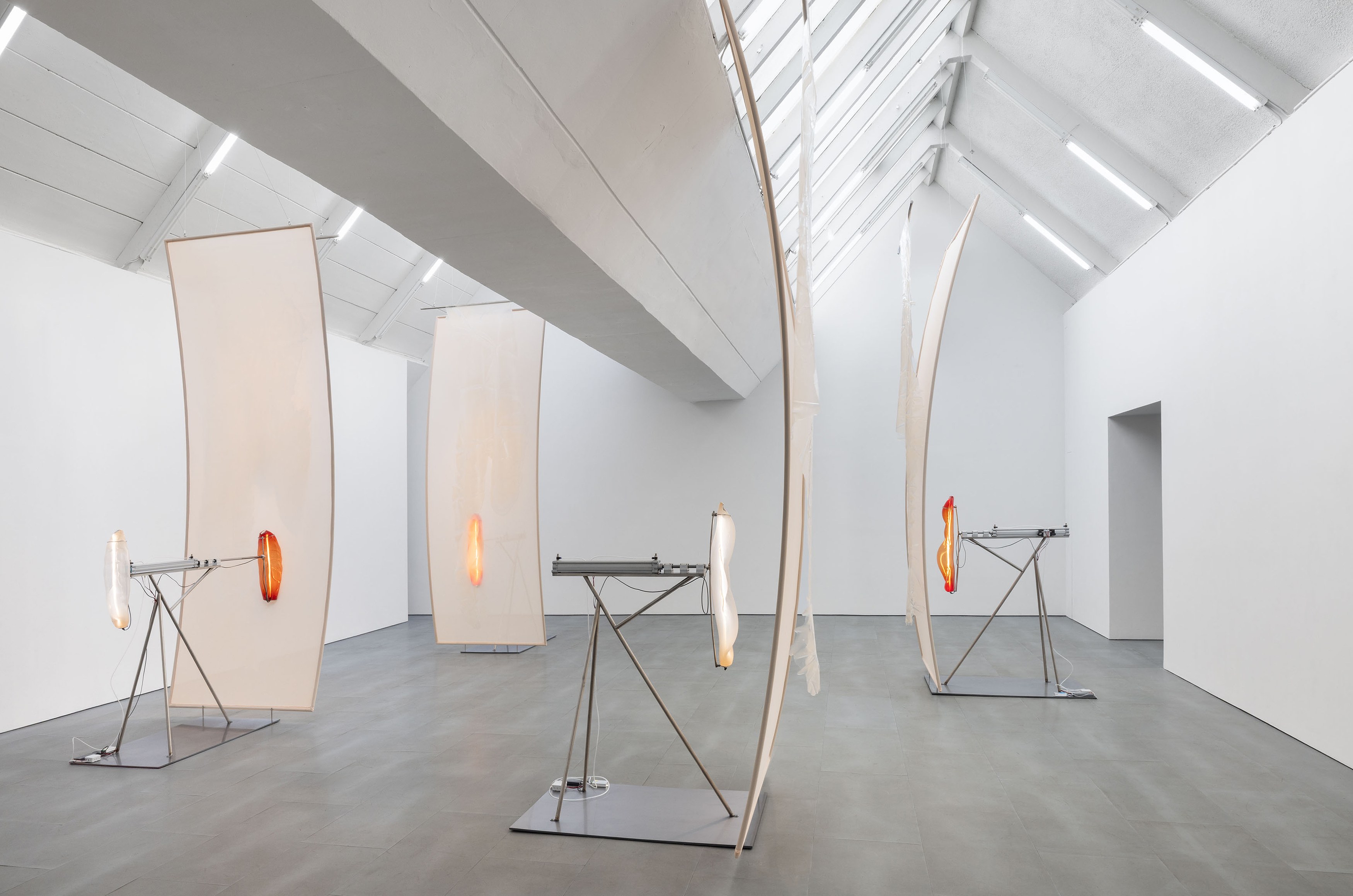 Pakui Hardware, Thresholds at Carlier Gebauer, photo 20