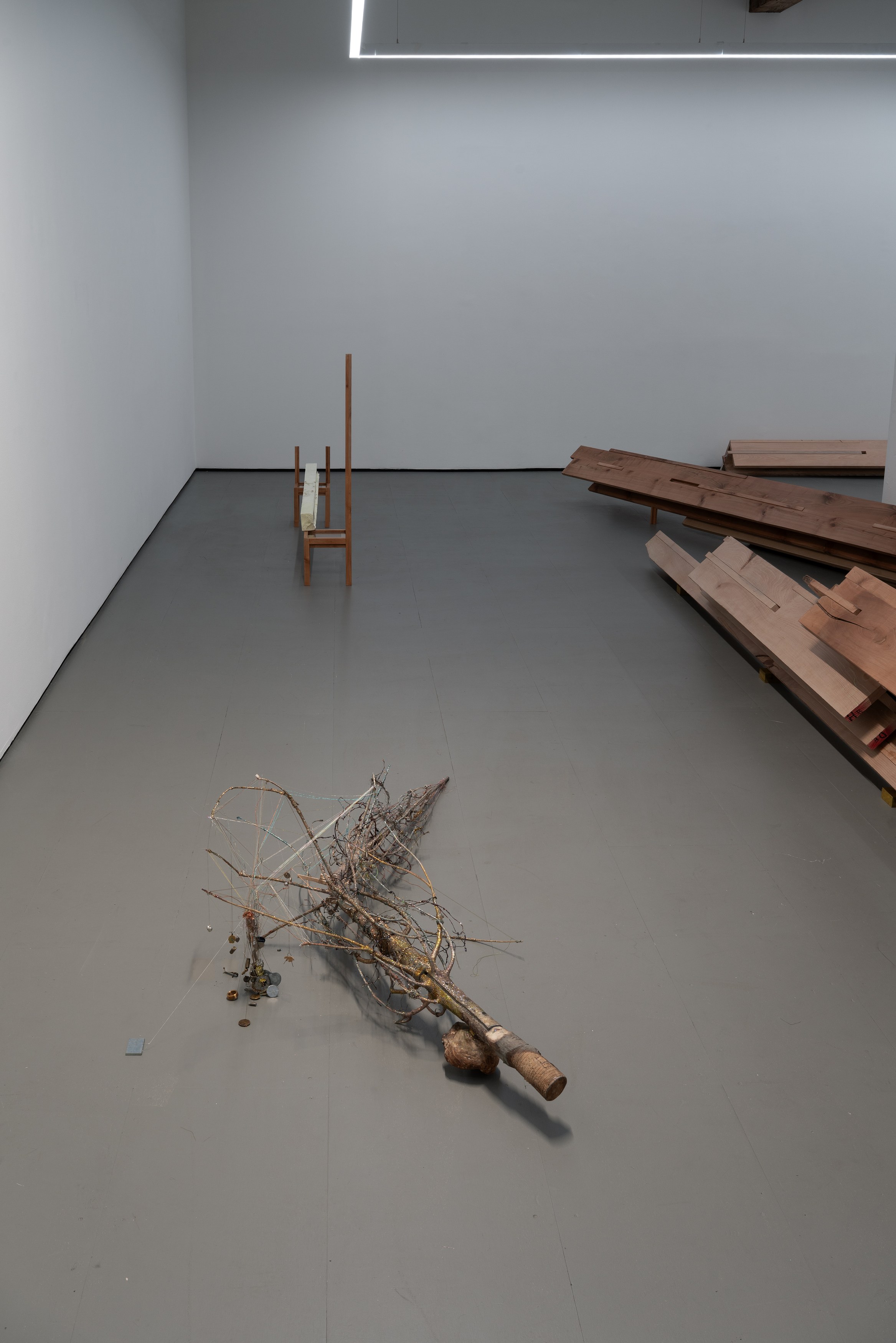 Installation view 8