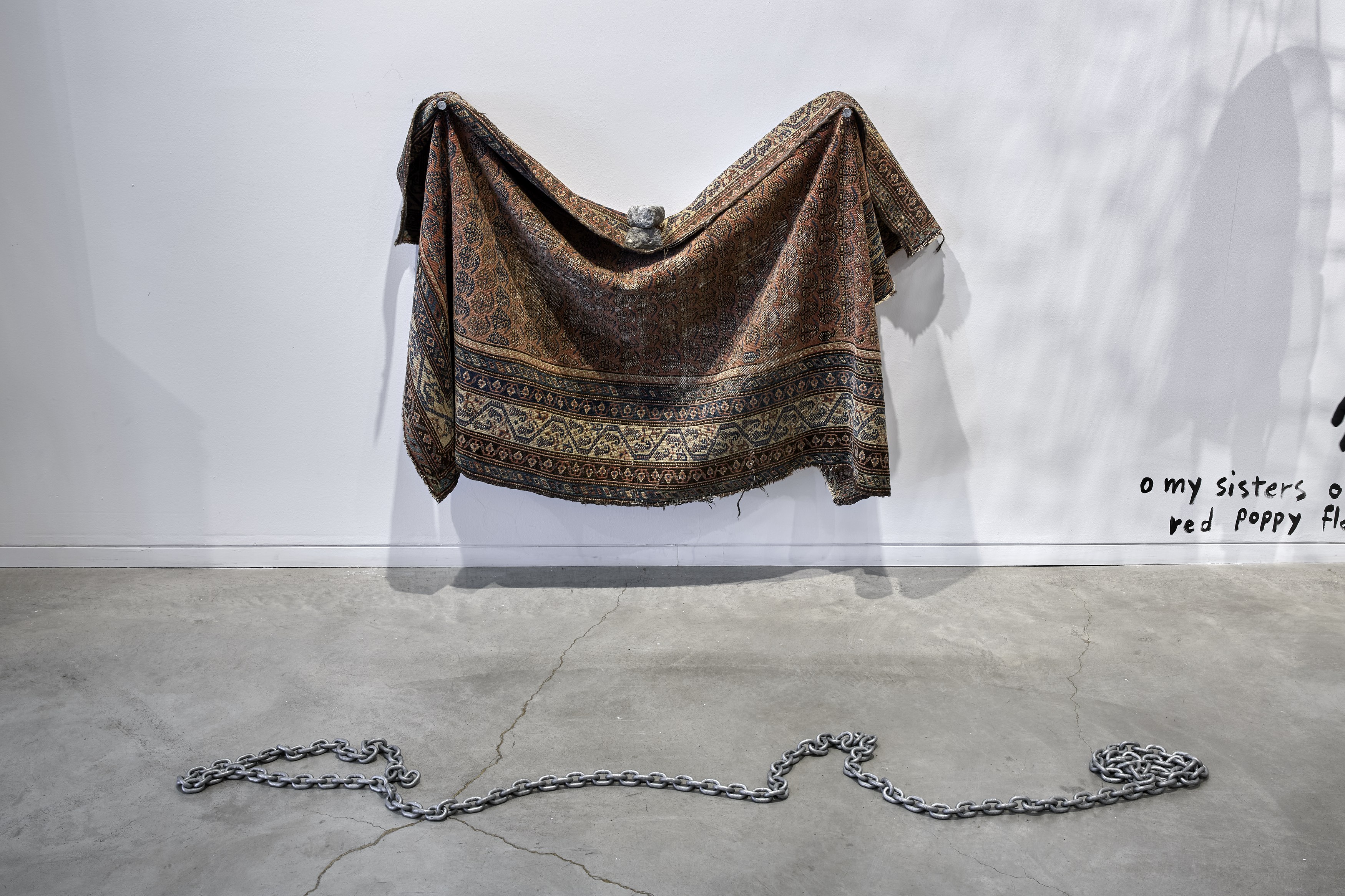 Farkhondeh Sharhroudi, image 14 of 47