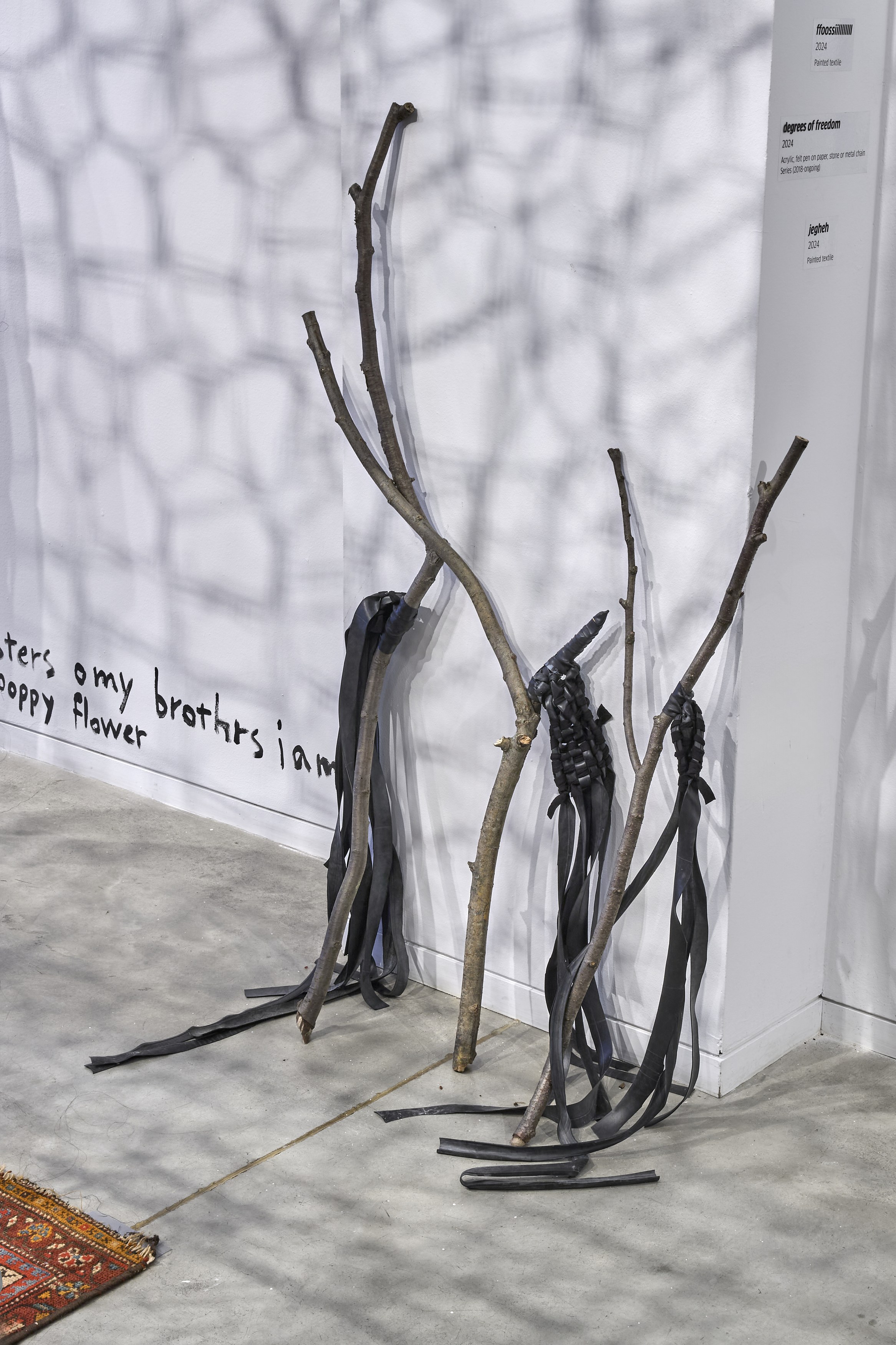 Farkhondeh Sharhroudi, image 25 of 47