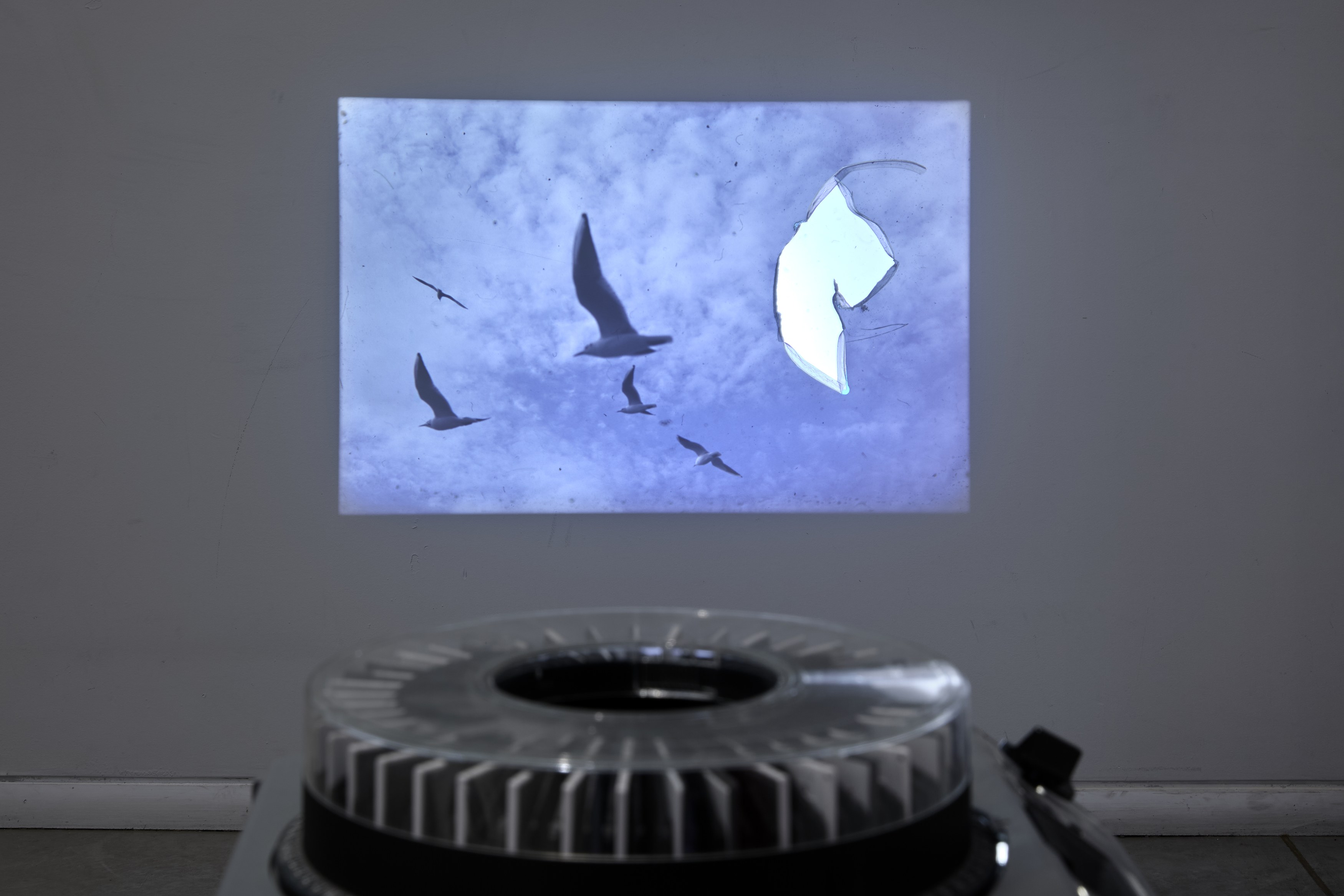 Farkhondeh Sharhroudi, image 27 of 47