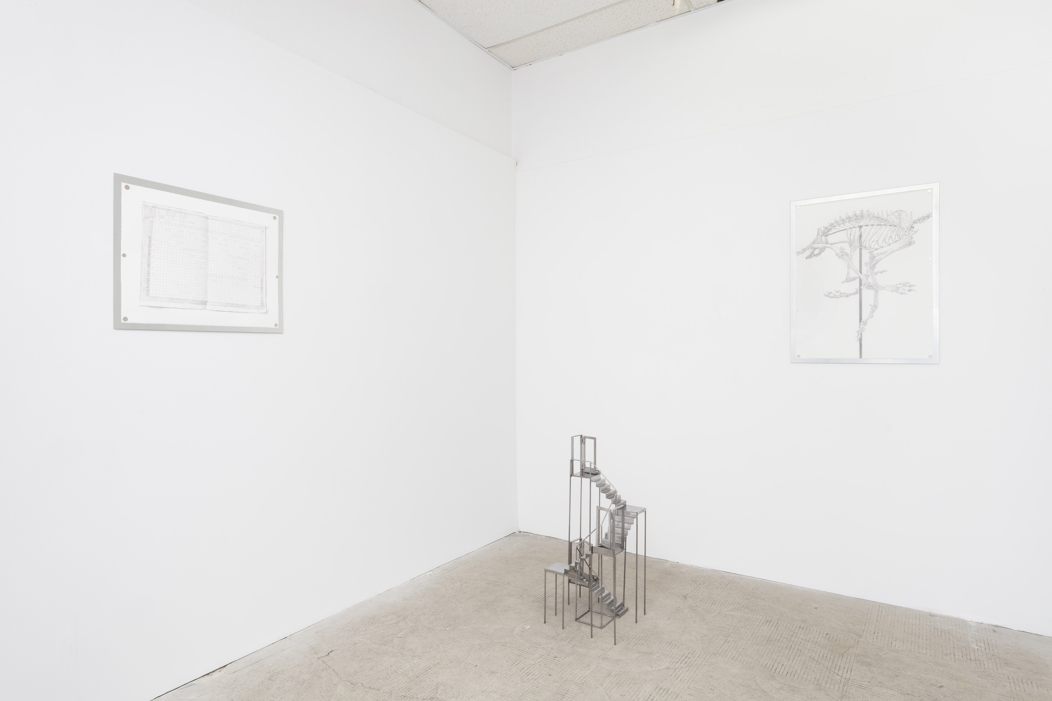 Tanya Brodsky, image 4 of 60