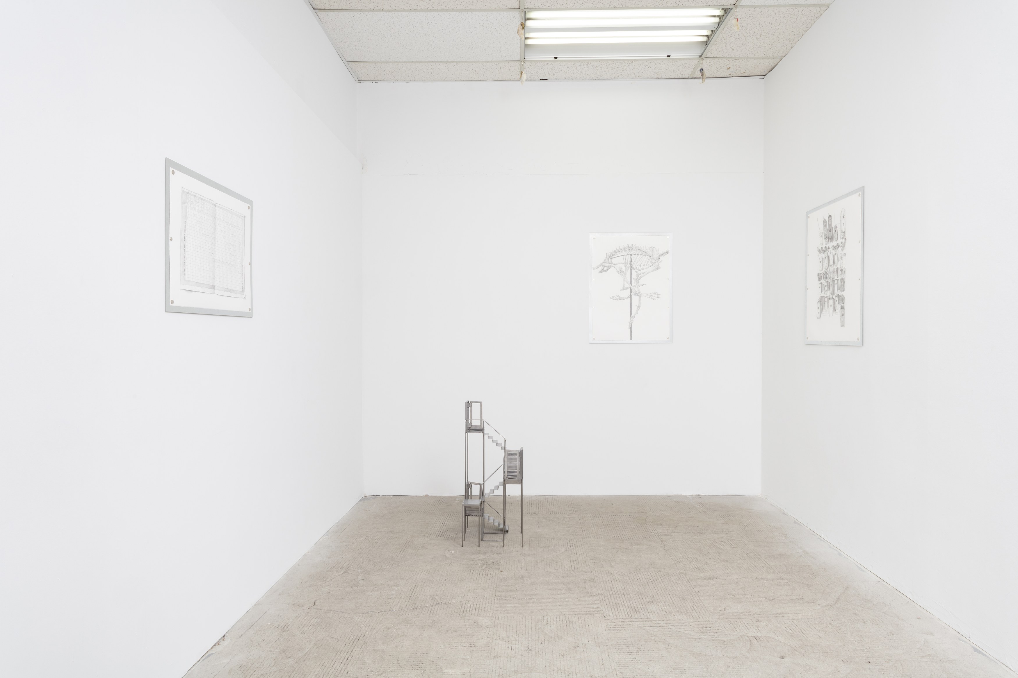 Tanya Brodsky, image 3 of 60