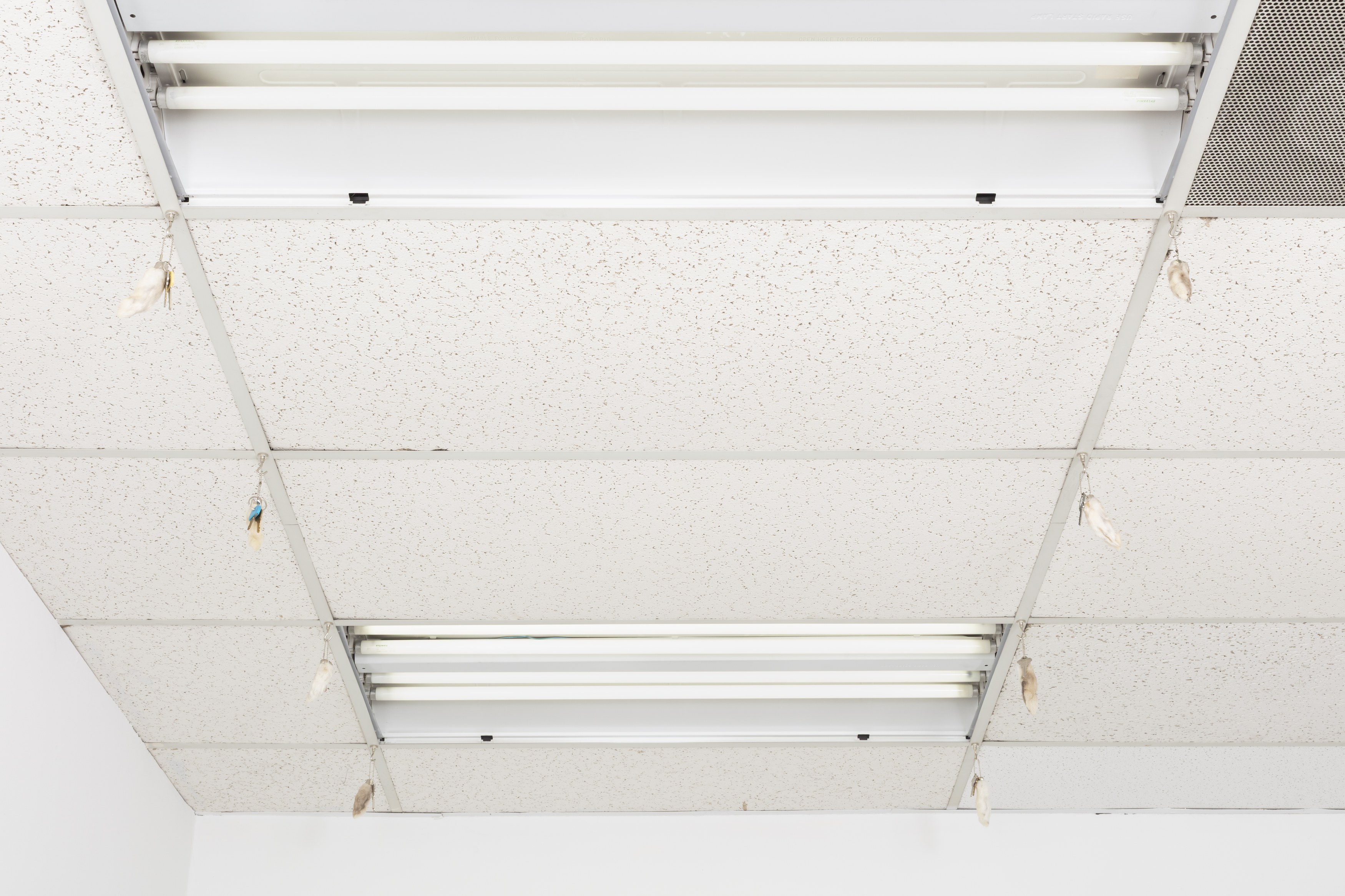 Tanya Brodsky, image 10 of 60