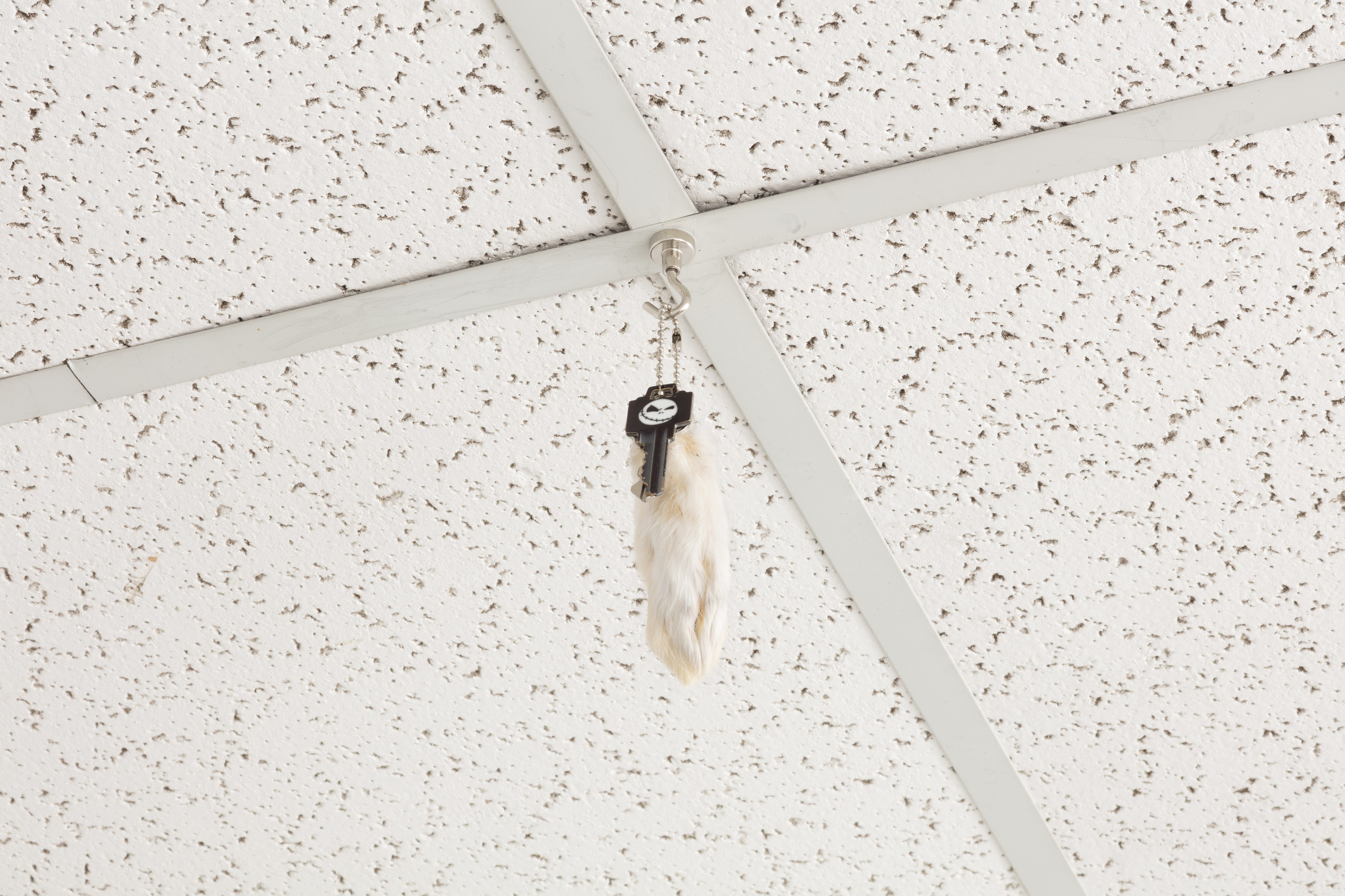 Tanya Brodsky, image 16 of 60