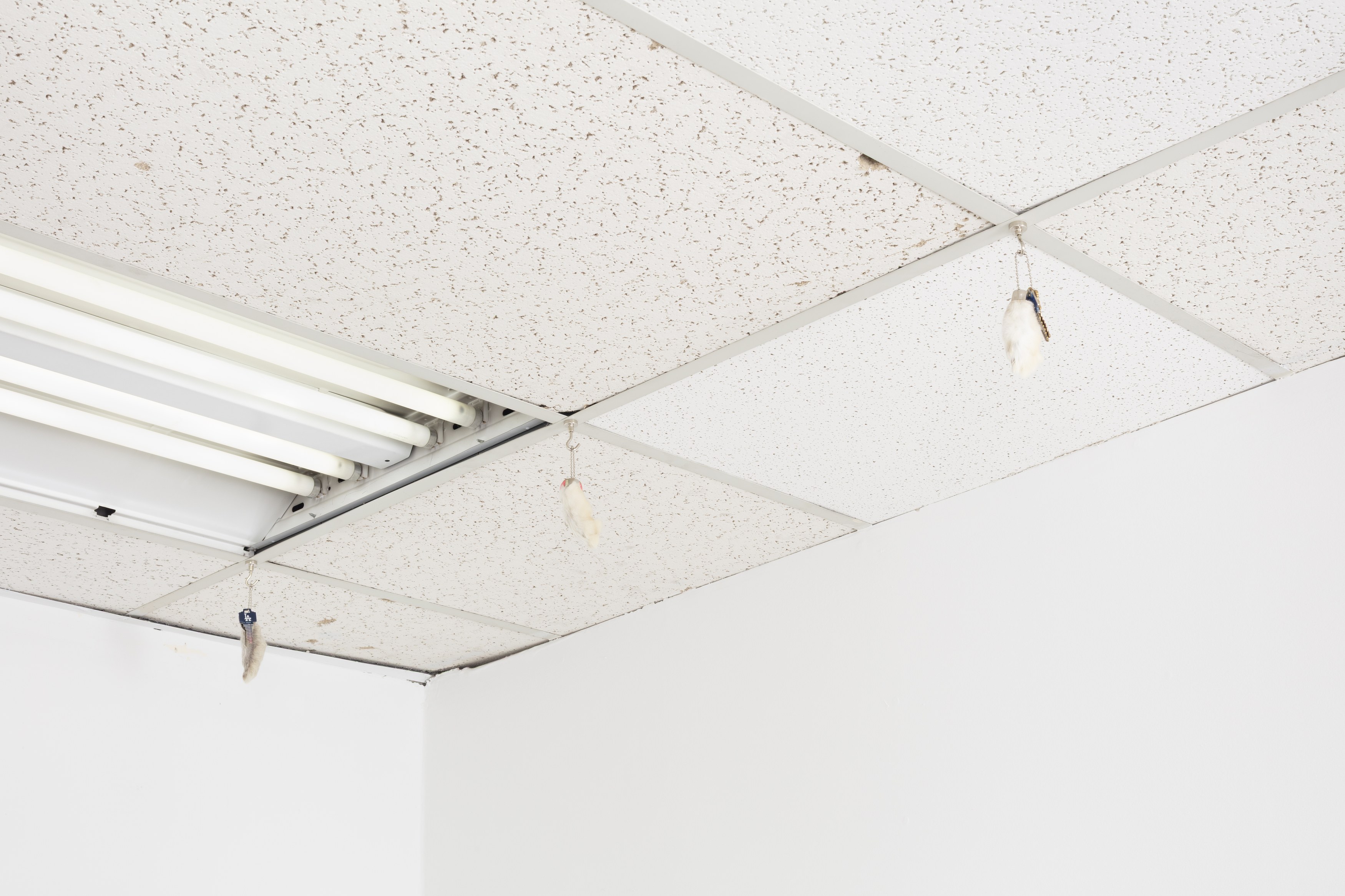 Tanya Brodsky, image 21 of 60