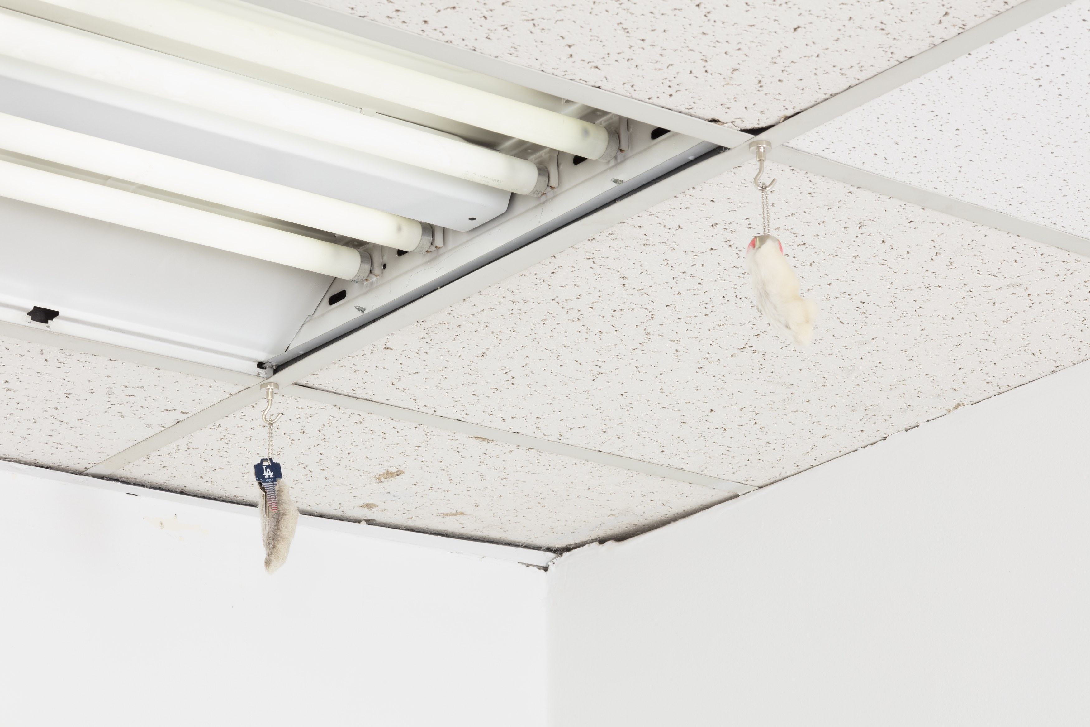 Tanya Brodsky, image 22 of 60