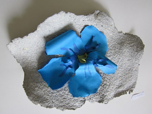 Image 19 of 19