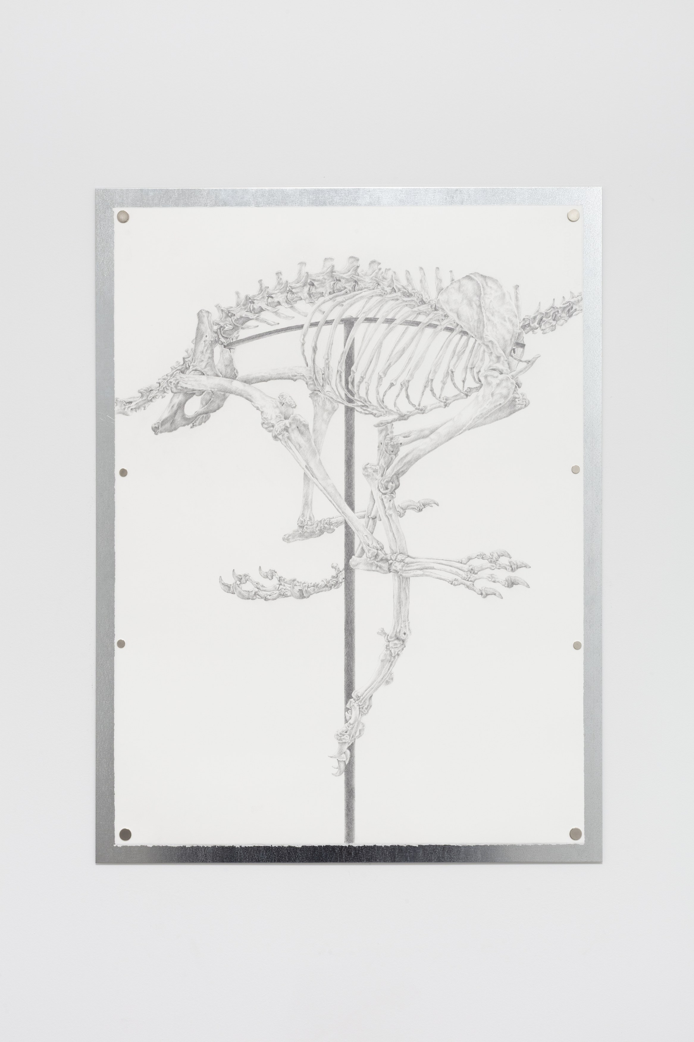 Tanya Brodsky, image 36 of 60
