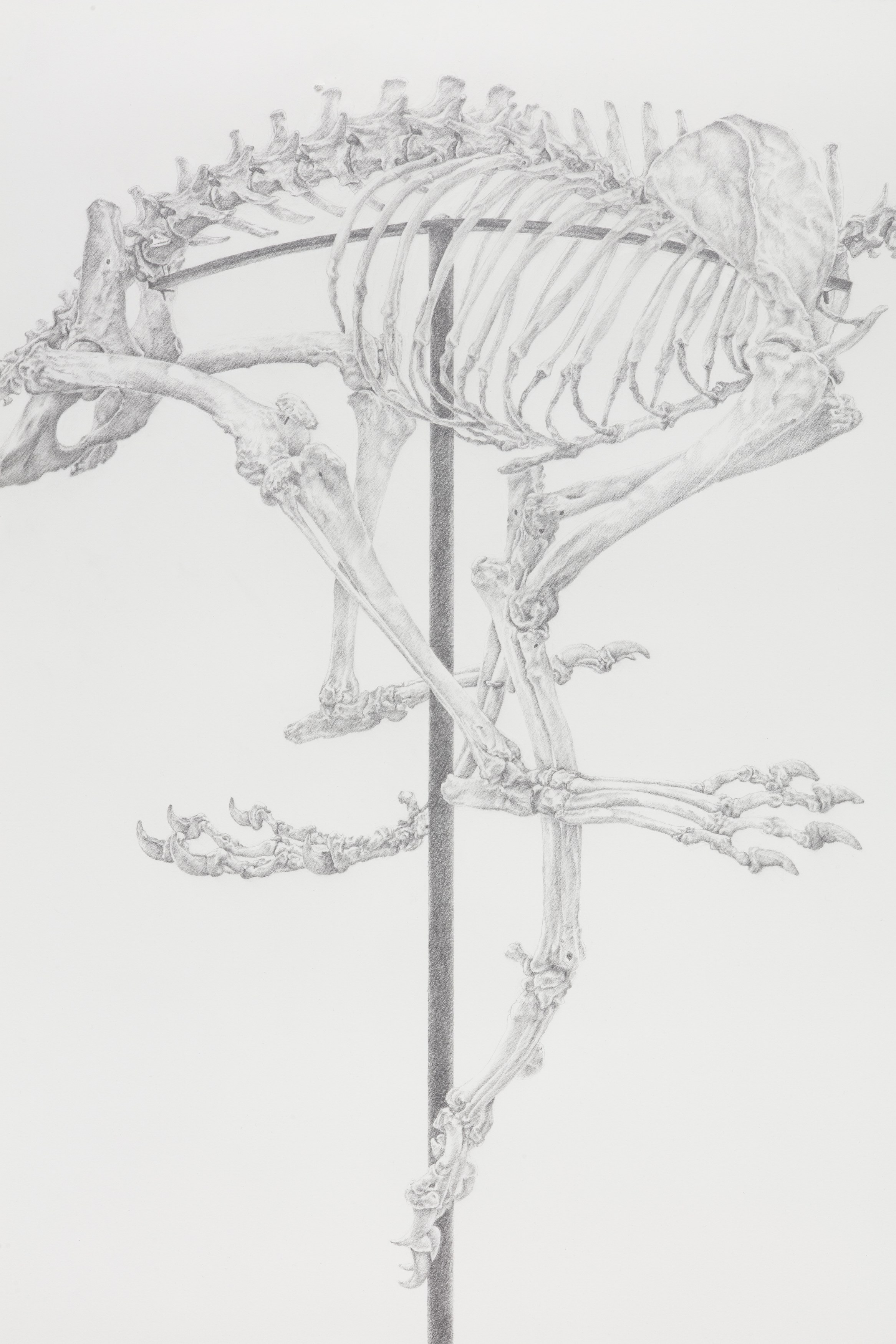 Tanya Brodsky, image 37 of 60