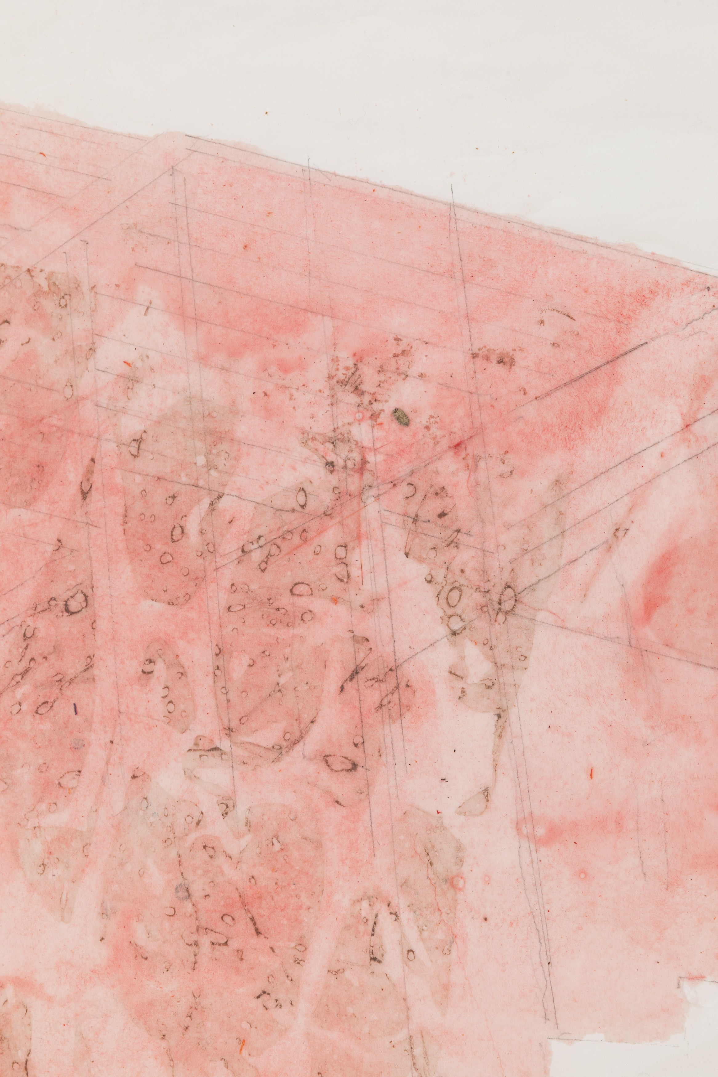 Ian Kiaer, health house at Chris Sharp Gallery, photo 47