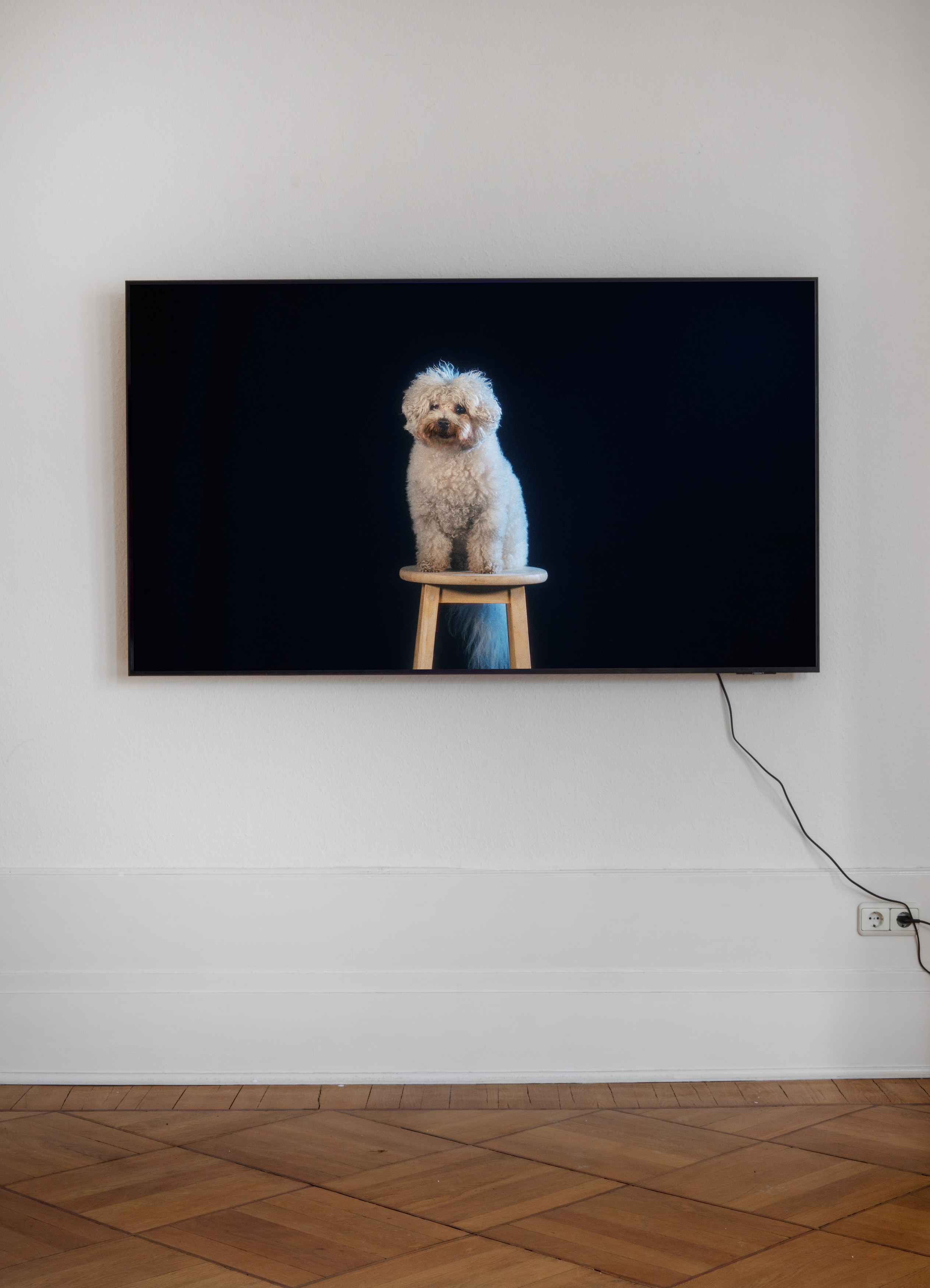 Patrick Goddard, Xie Lei, Challenge at Gnyp Gallery, photo 5