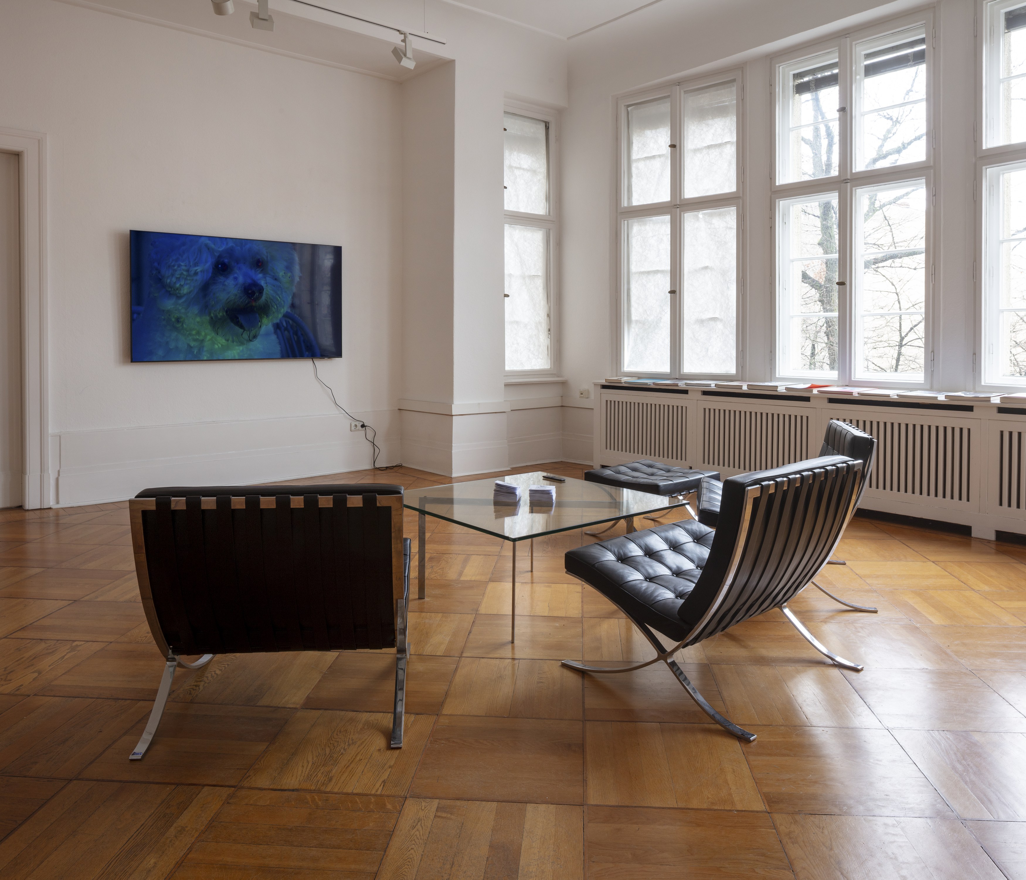 Patrick Goddard, Xie Lei, Challenge at Gnyp Gallery, photo 8