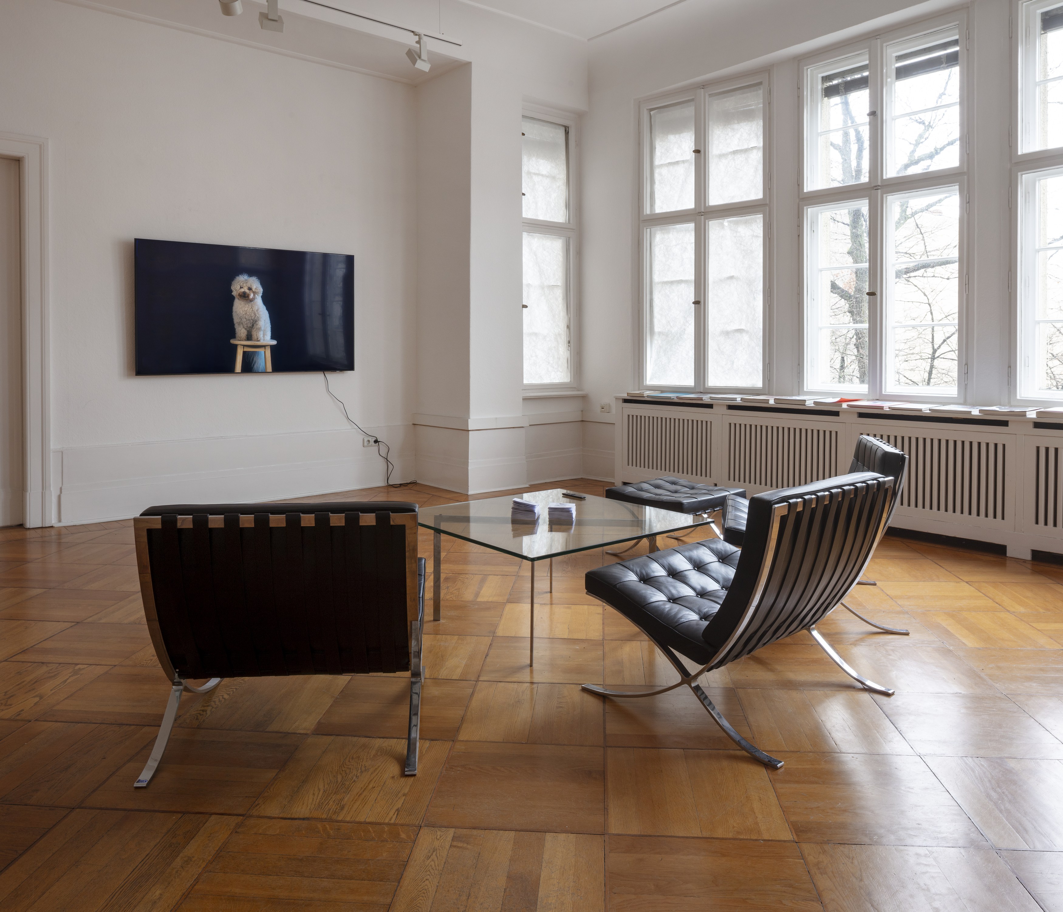 Patrick Goddard, Xie Lei, Challenge at Gnyp Gallery, photo 7
