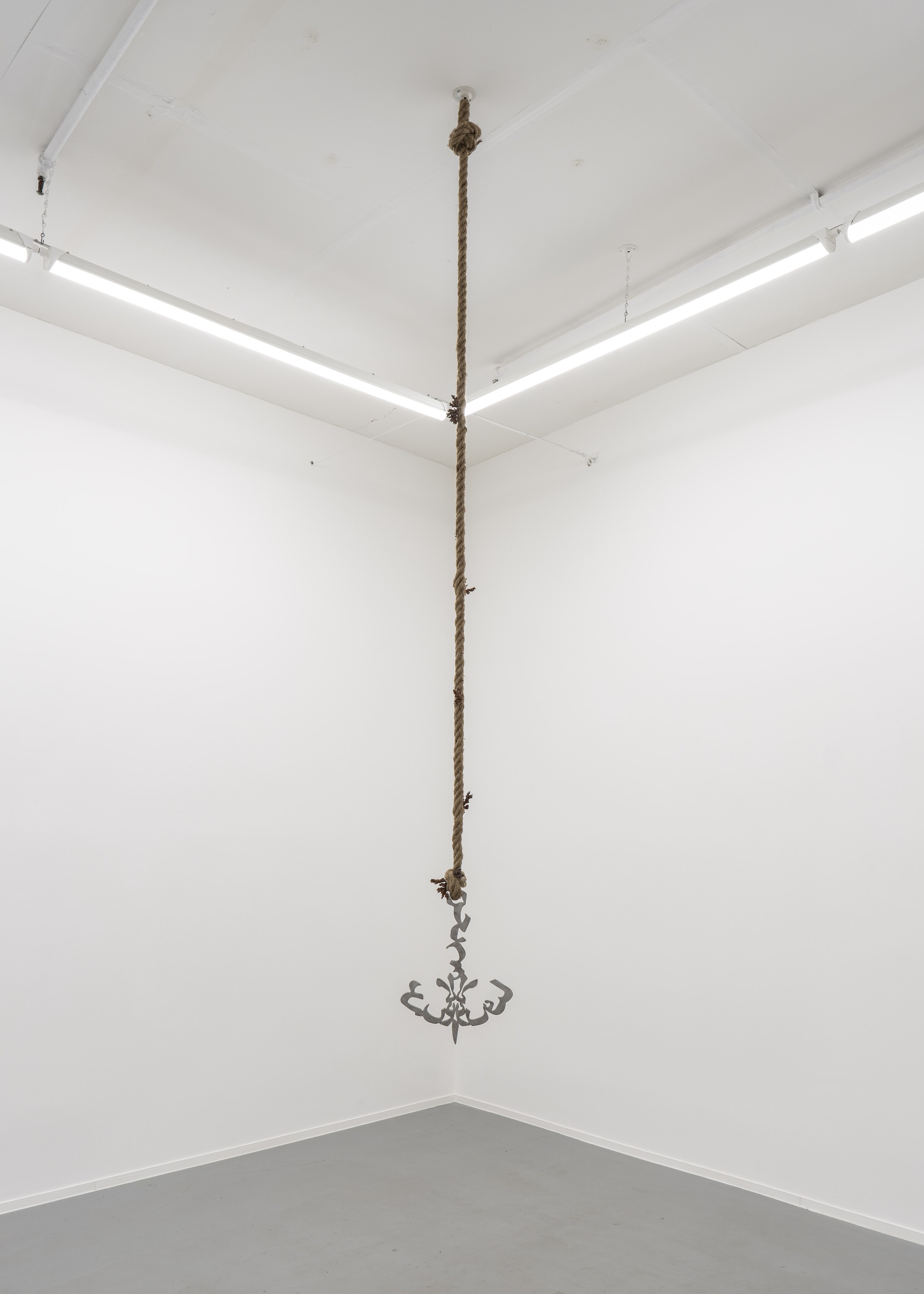 Ramzi Mallat, Aporia at Project Loop, photo 21