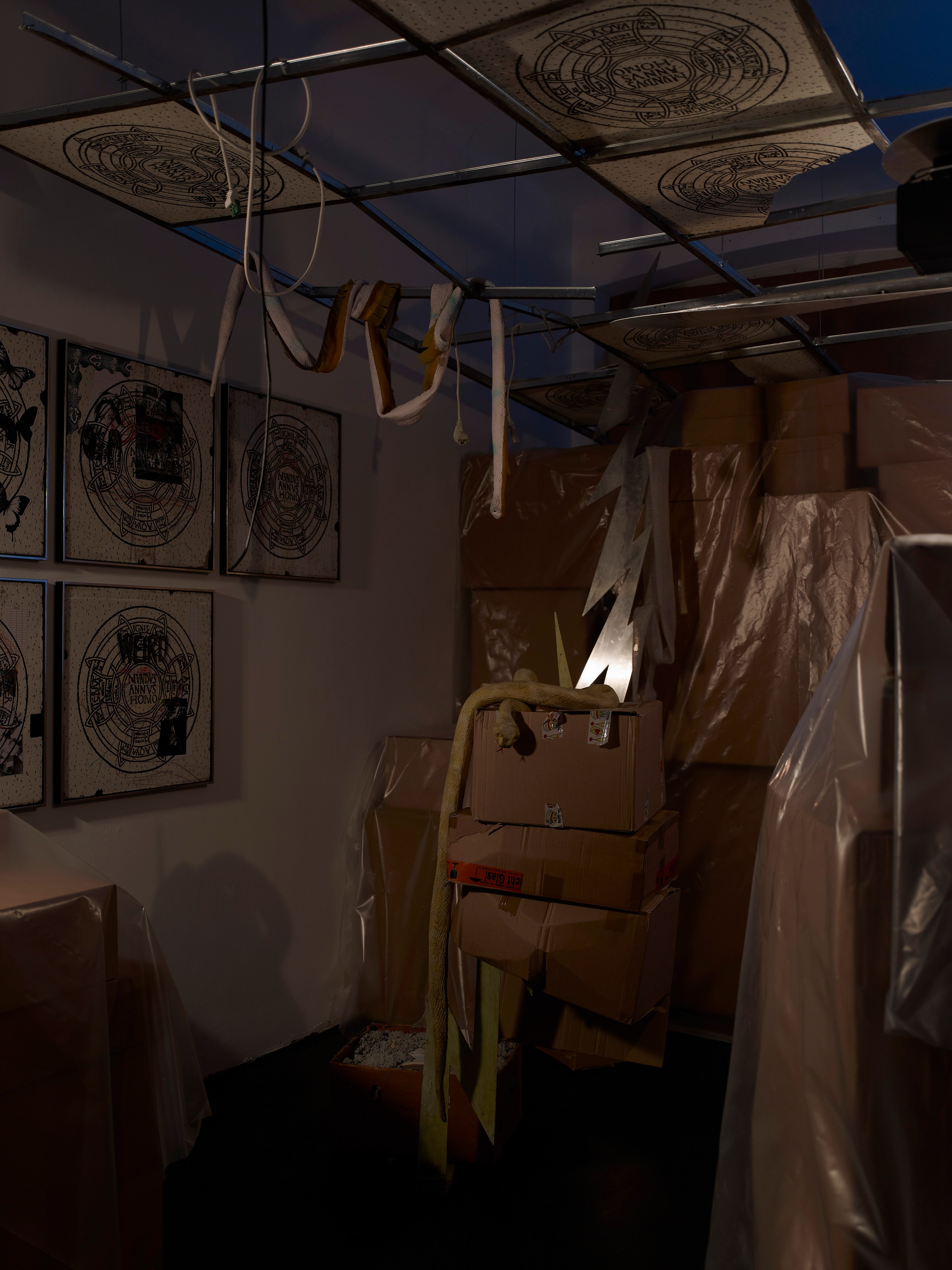 Stephen G. Rhodes, The Law of the Unknown Neighbor at Isabella Bortolozzi, photo 3