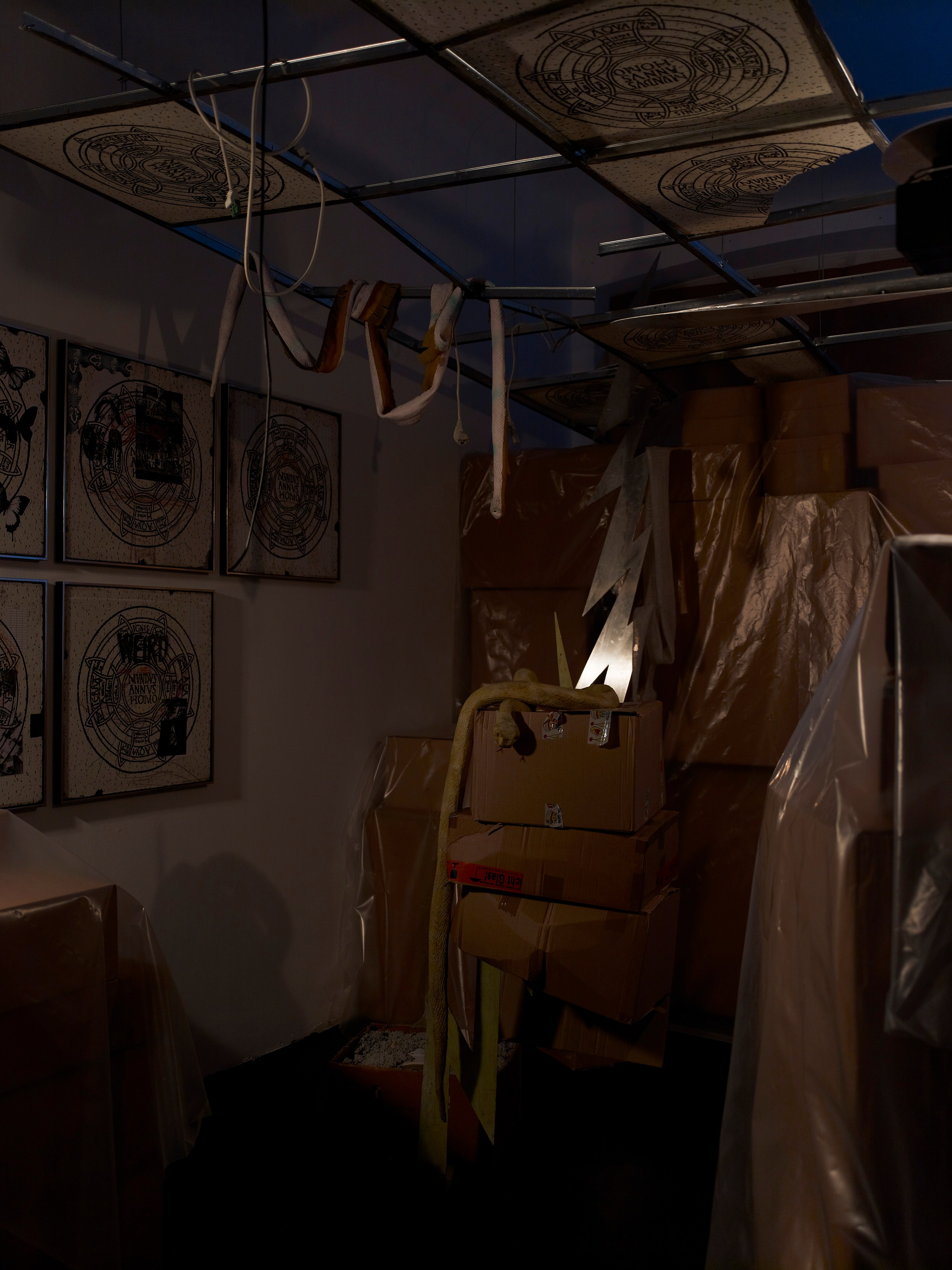 Stephen G. Rhodes, The Law of the Unknown Neighbor at Isabella Bortolozzi, photo 4