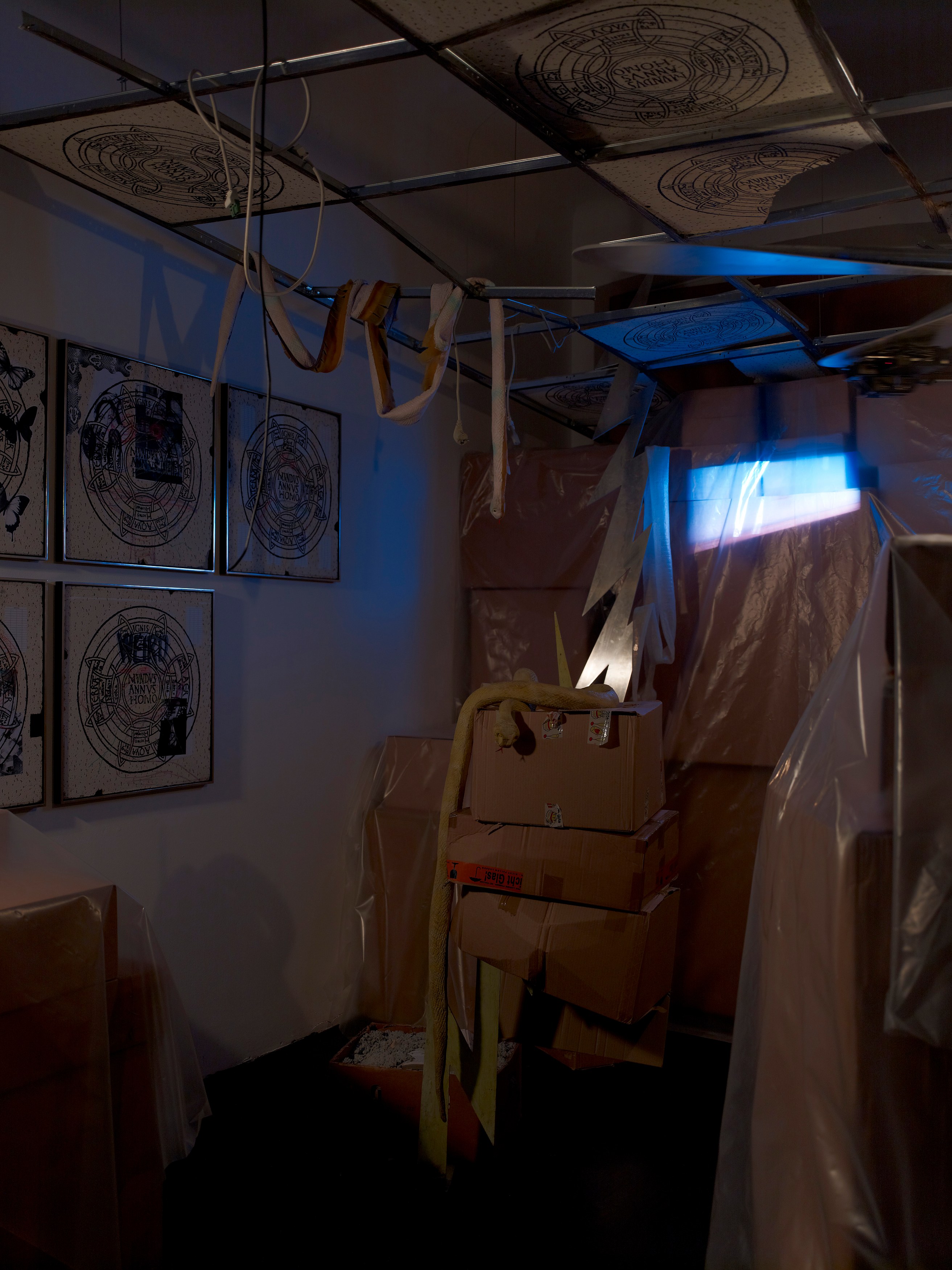 Stephen G. Rhodes, The Law of the Unknown Neighbor at Isabella Bortolozzi, photo 5