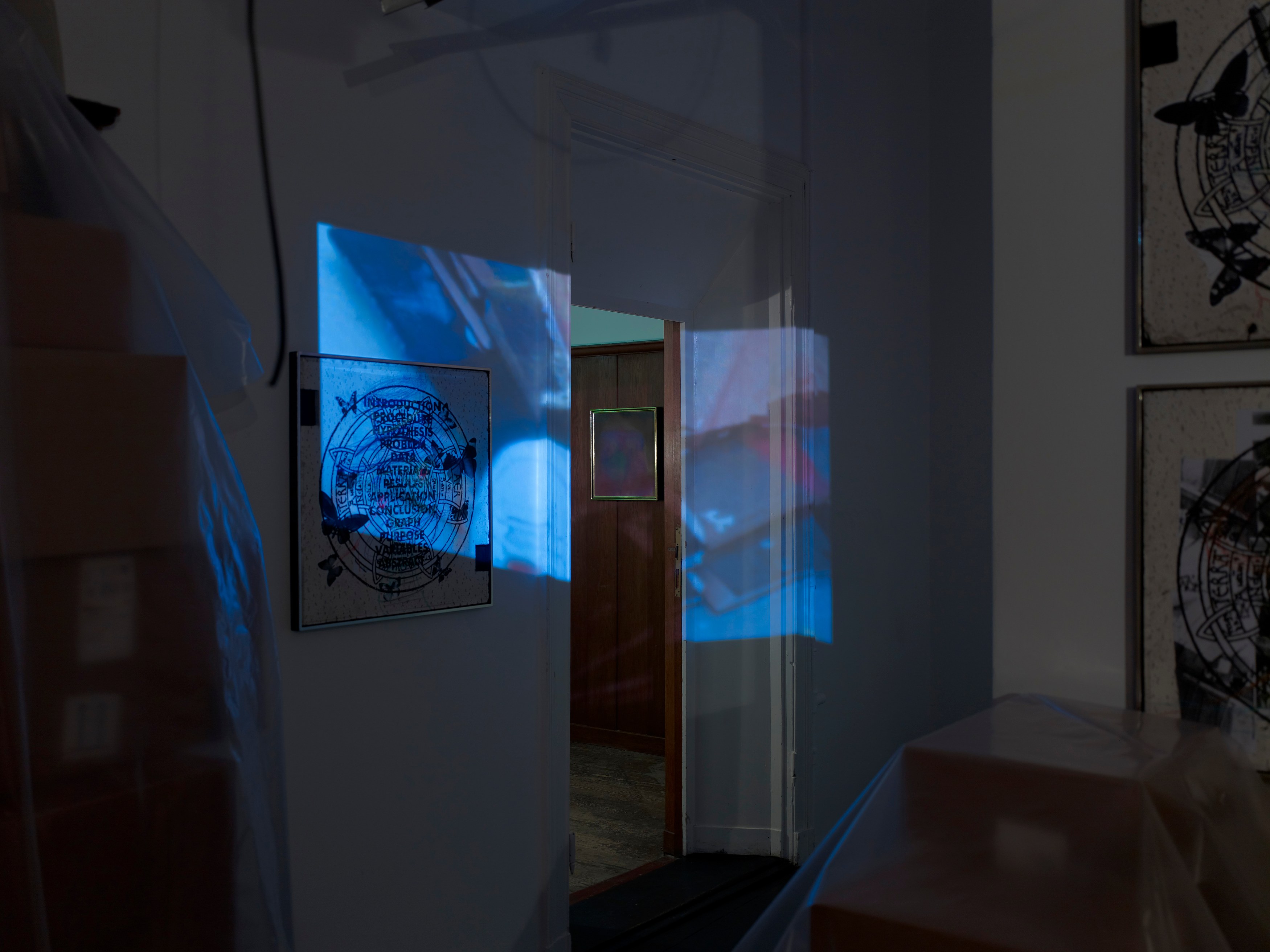 Stephen G. Rhodes, The Law of the Unknown Neighbor at Isabella Bortolozzi, photo 6