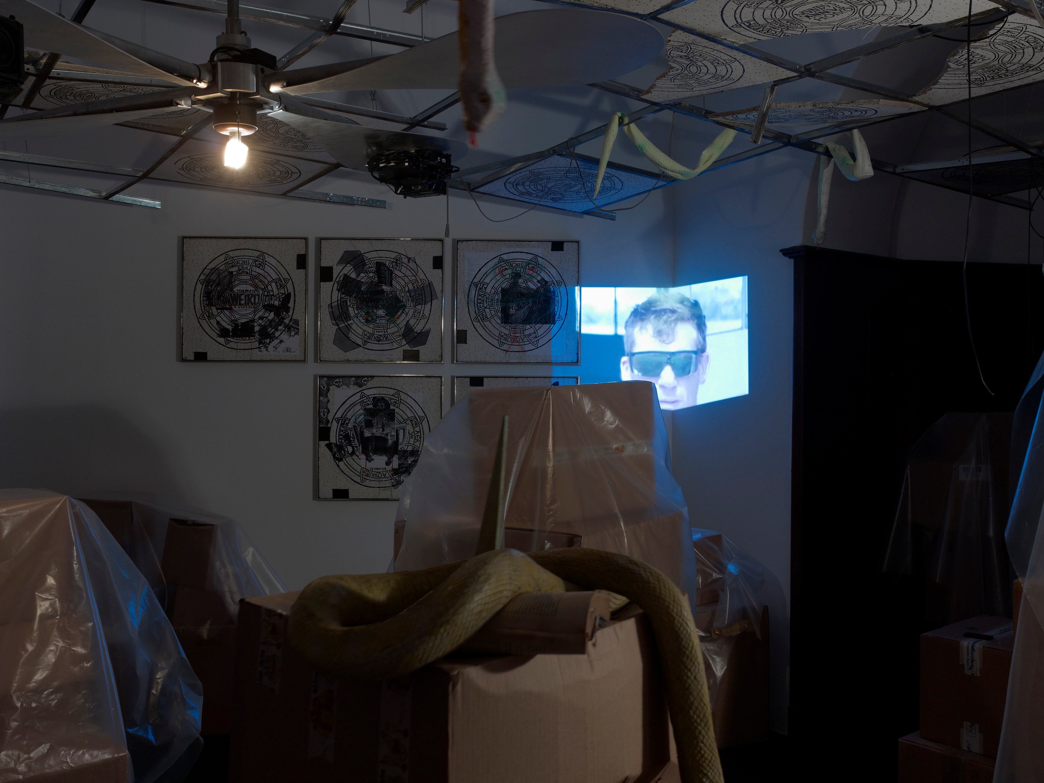 Stephen G. Rhodes, The Law of the Unknown Neighbor at Isabella Bortolozzi, photo 7