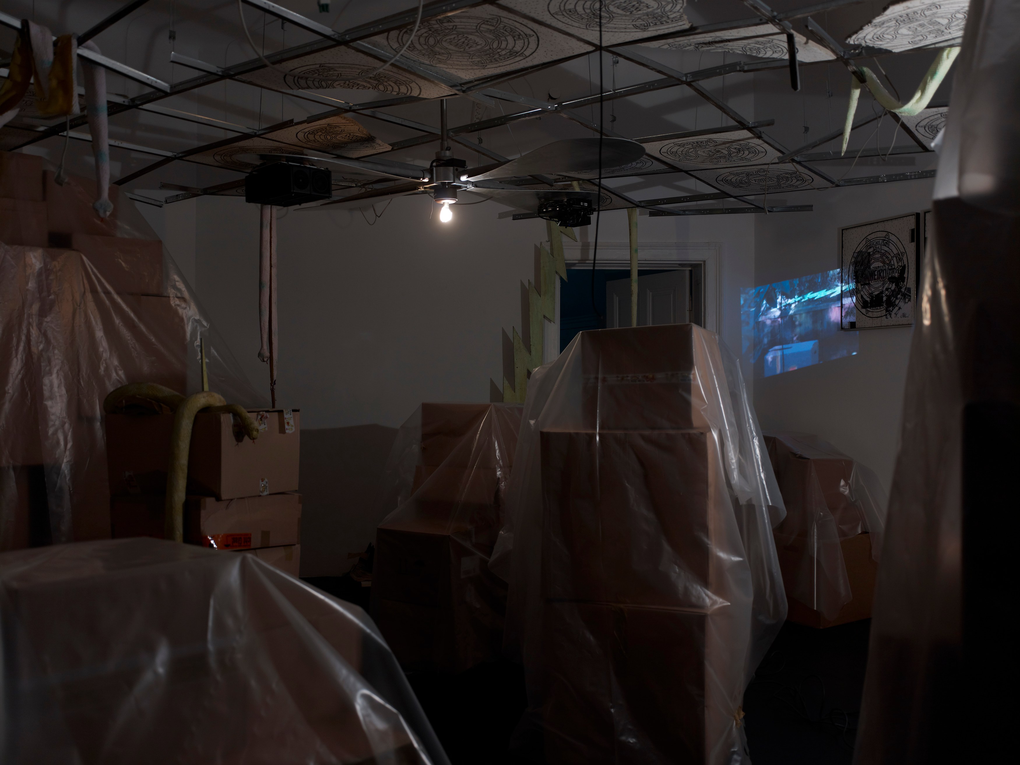 Stephen G. Rhodes, The Law of the Unknown Neighbor at Isabella Bortolozzi, photo 9