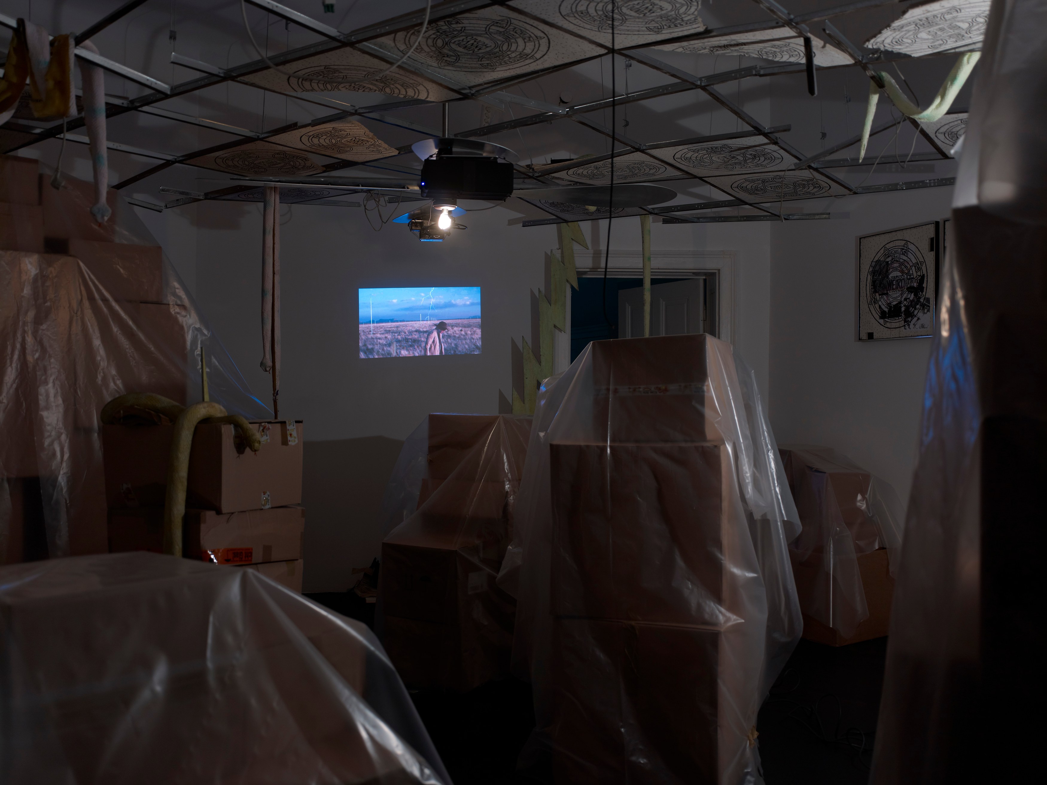 Stephen G. Rhodes, The Law of the Unknown Neighbor at Isabella Bortolozzi, photo 10