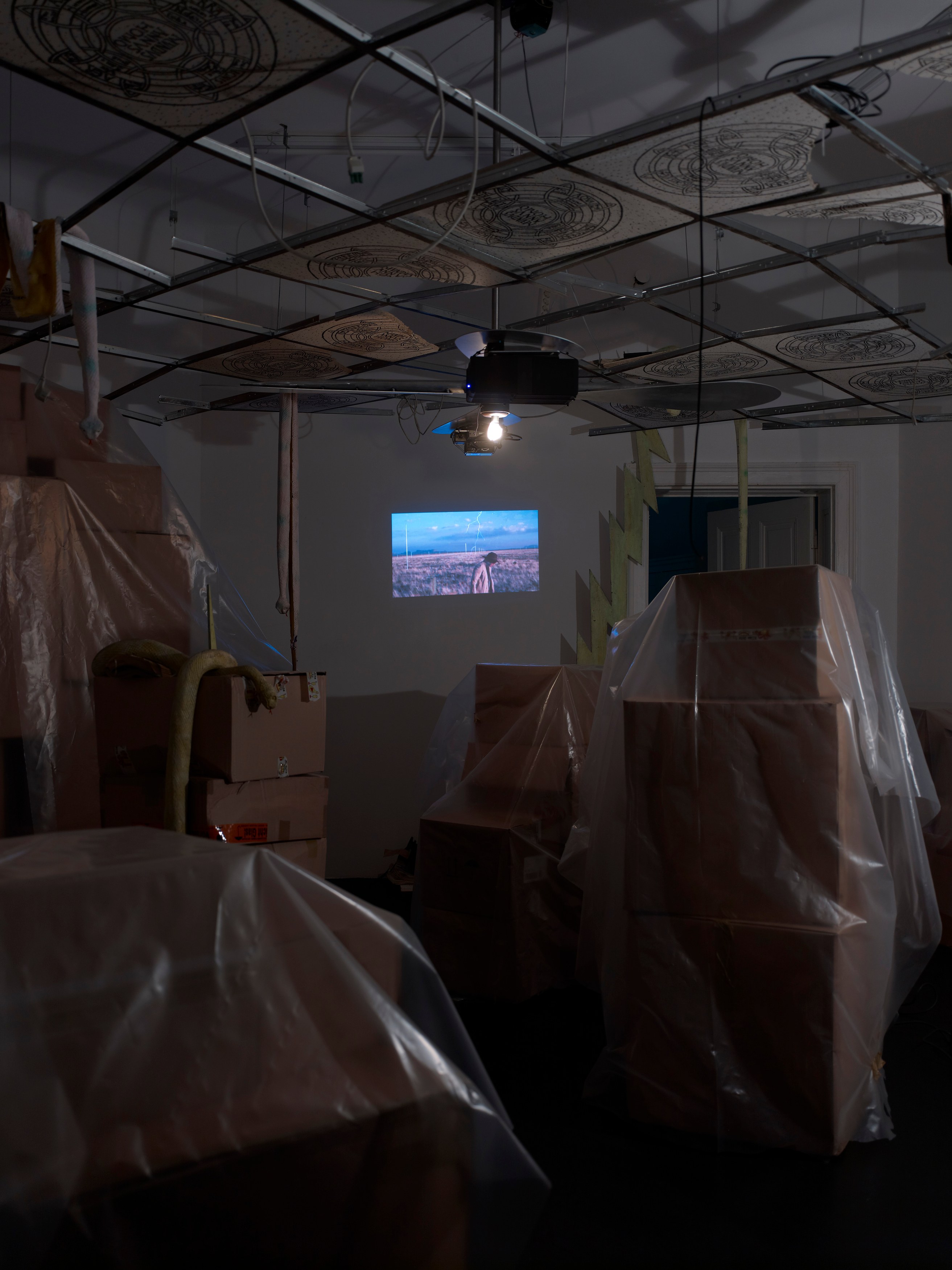 Stephen G. Rhodes, The Law of the Unknown Neighbor at Isabella Bortolozzi, photo 11