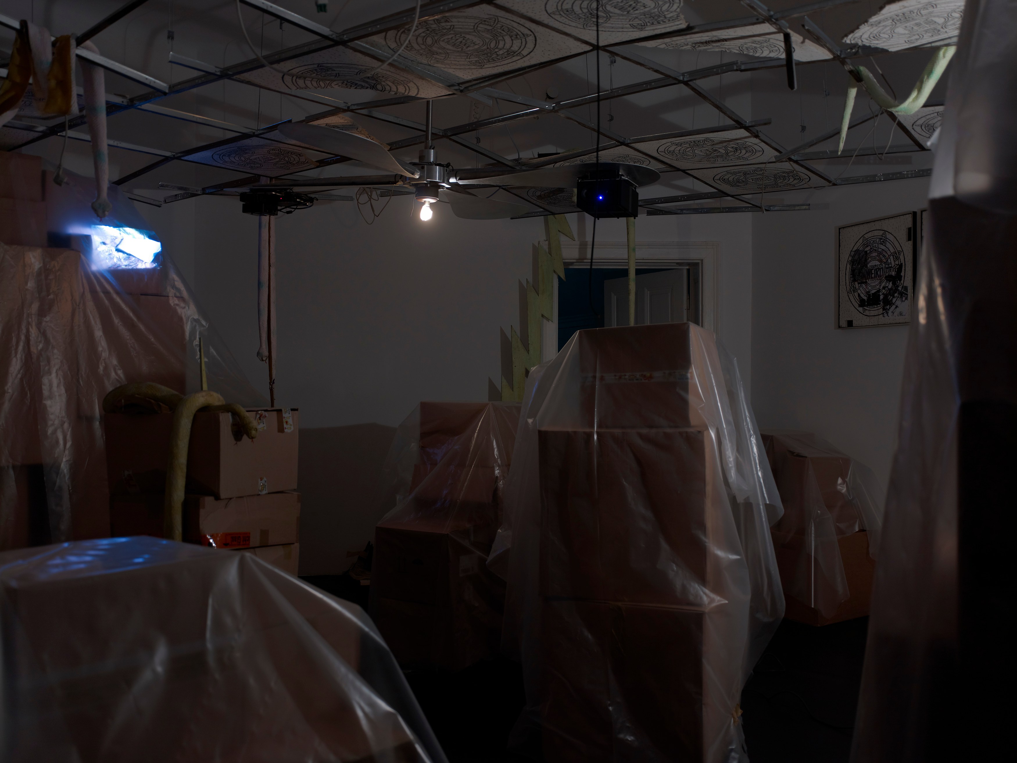 Stephen G. Rhodes, The Law of the Unknown Neighbor at Isabella Bortolozzi, photo 12