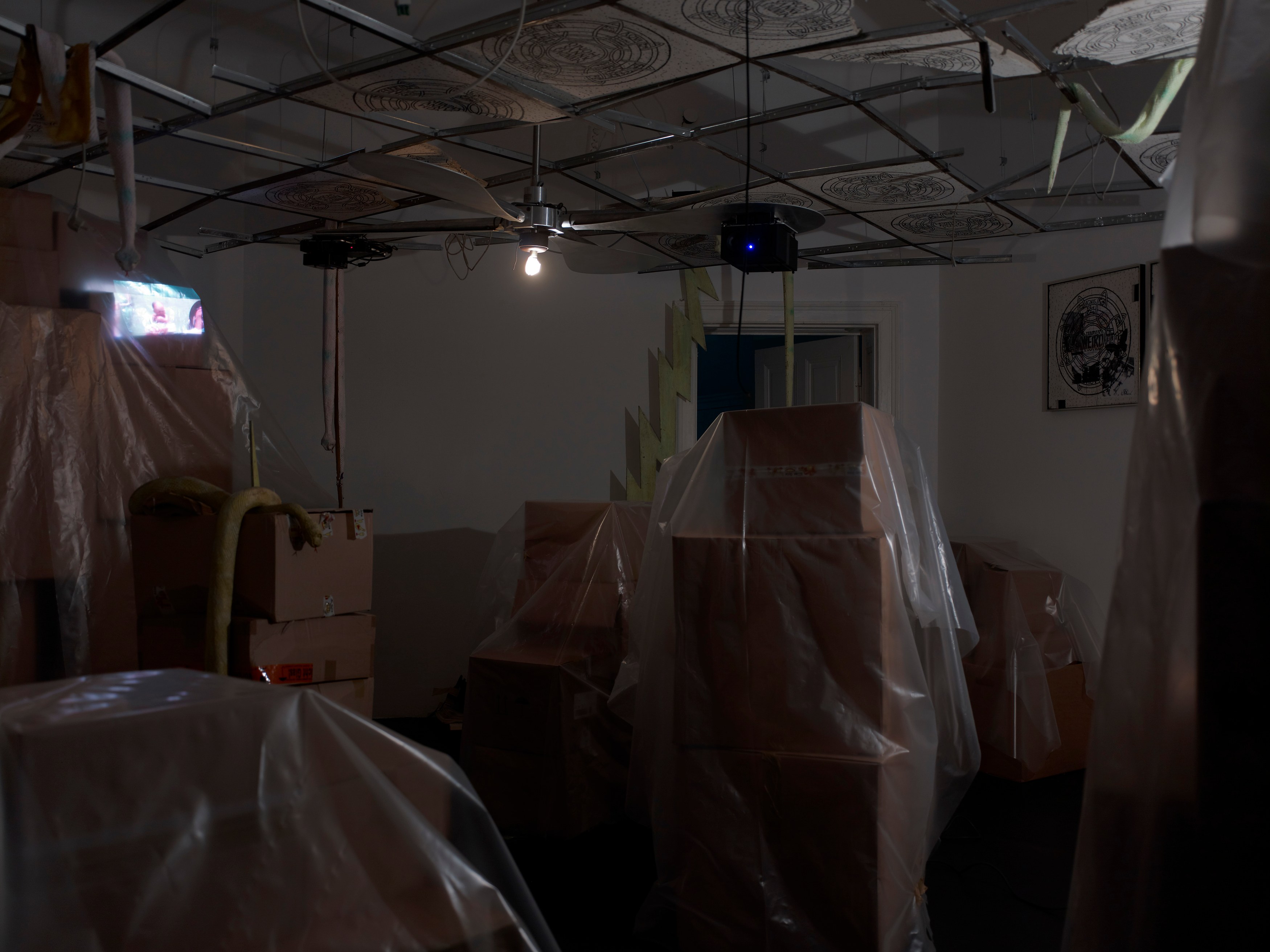 Stephen G. Rhodes, The Law of the Unknown Neighbor at Isabella Bortolozzi, photo 13
