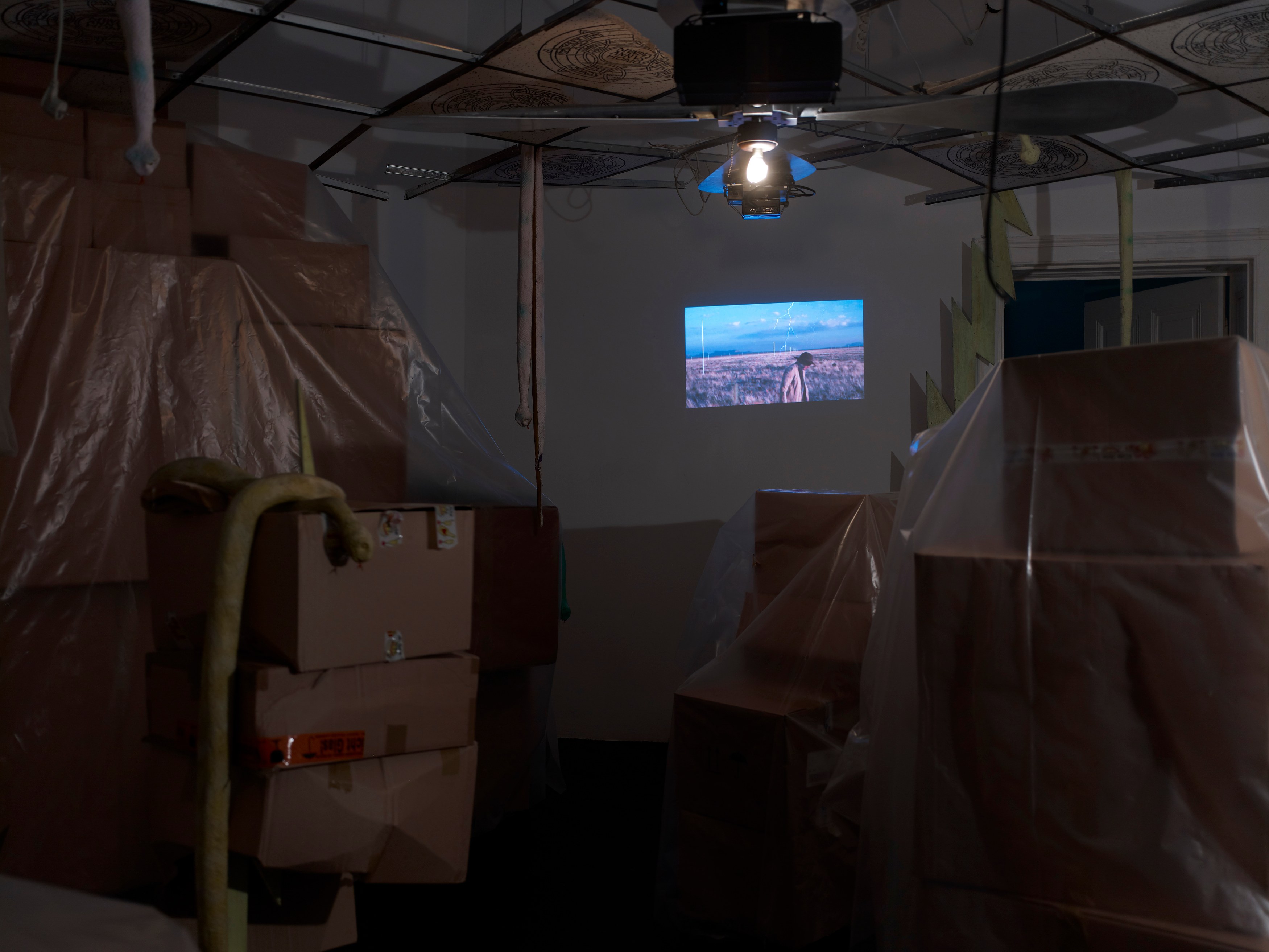 Stephen G. Rhodes, The Law of the Unknown Neighbor at Isabella Bortolozzi, photo 14