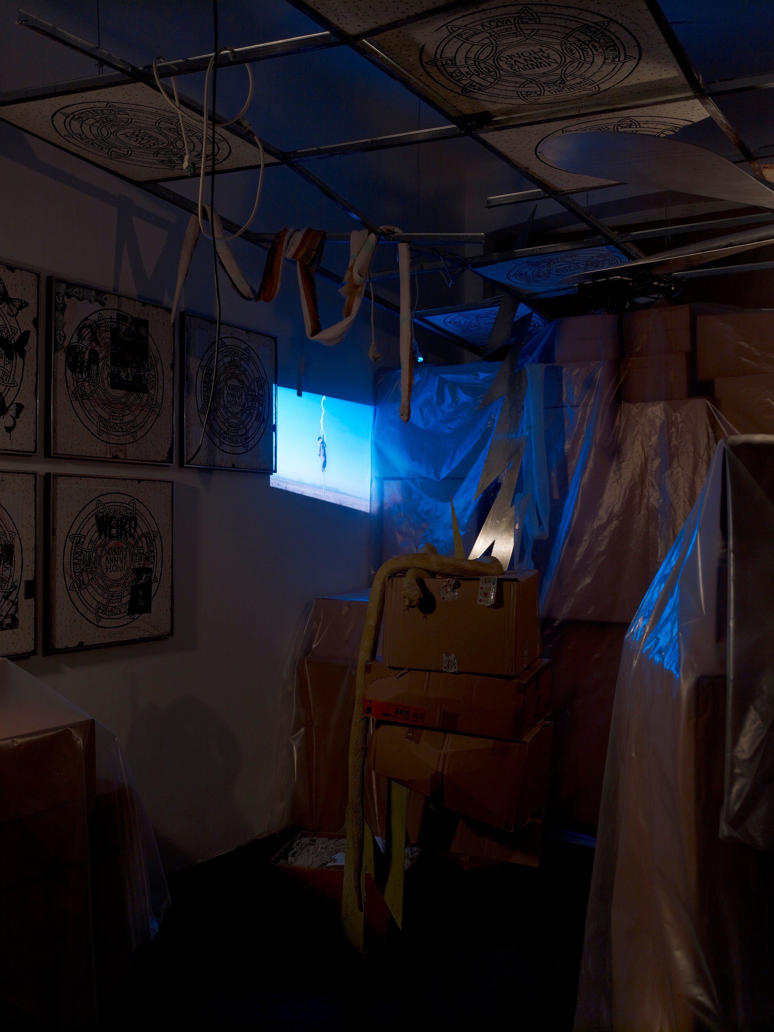 Stephen G. Rhodes, The Law of the Unknown Neighbor at Isabella Bortolozzi, photo 18