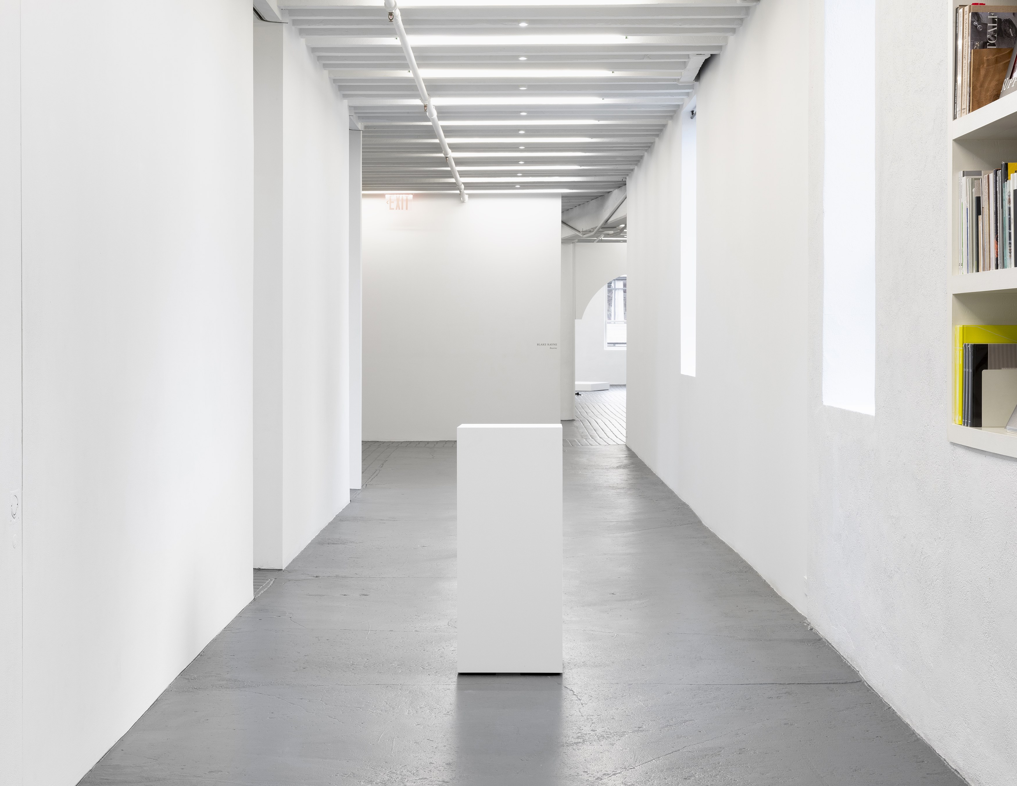 Blake Rayne, Reserves at Miguel Abreu, New York (88 Eldridge Street, 36 Orchard Street), photo 2