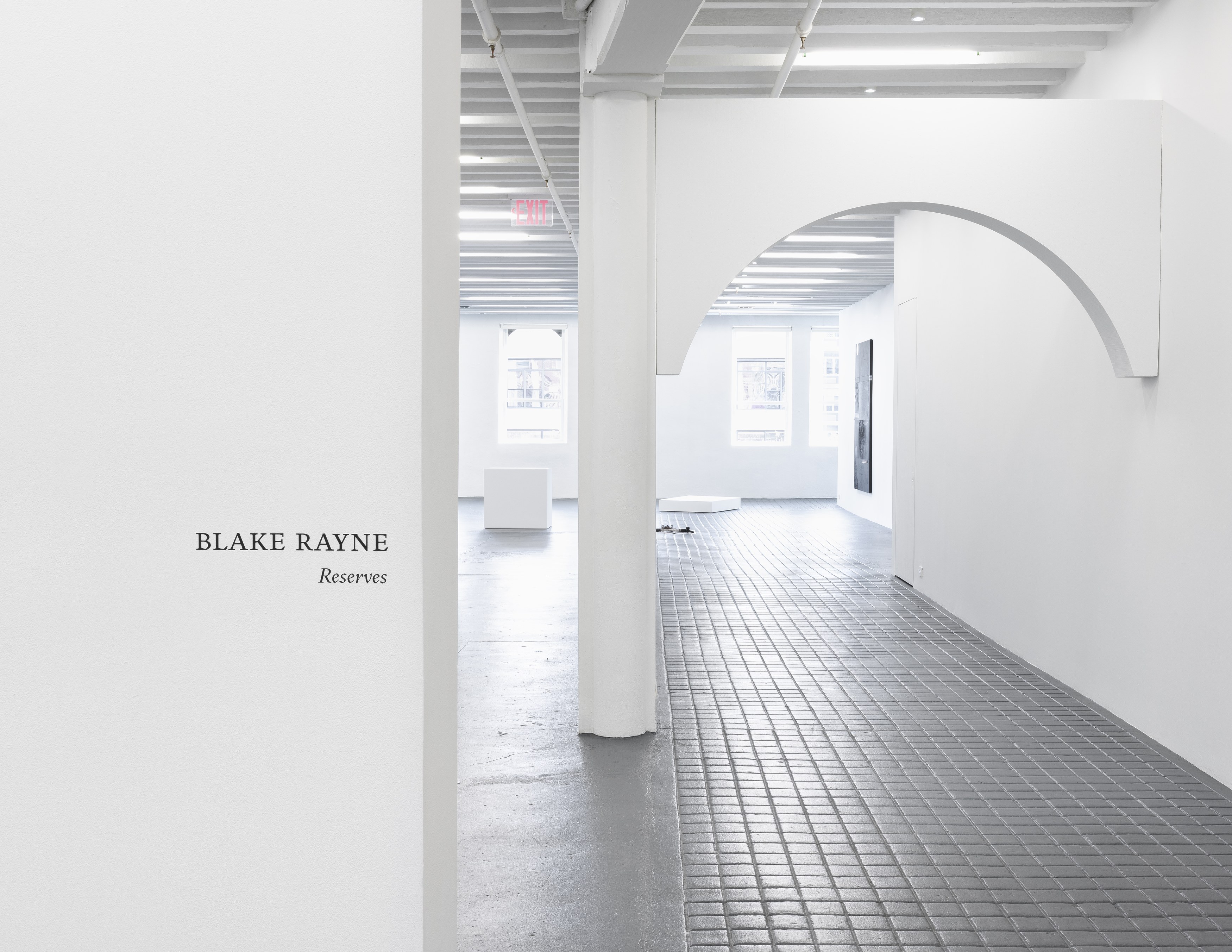 Blake Rayne, Reserves at Miguel Abreu, New York (88 Eldridge Street, 36 Orchard Street), photo 6