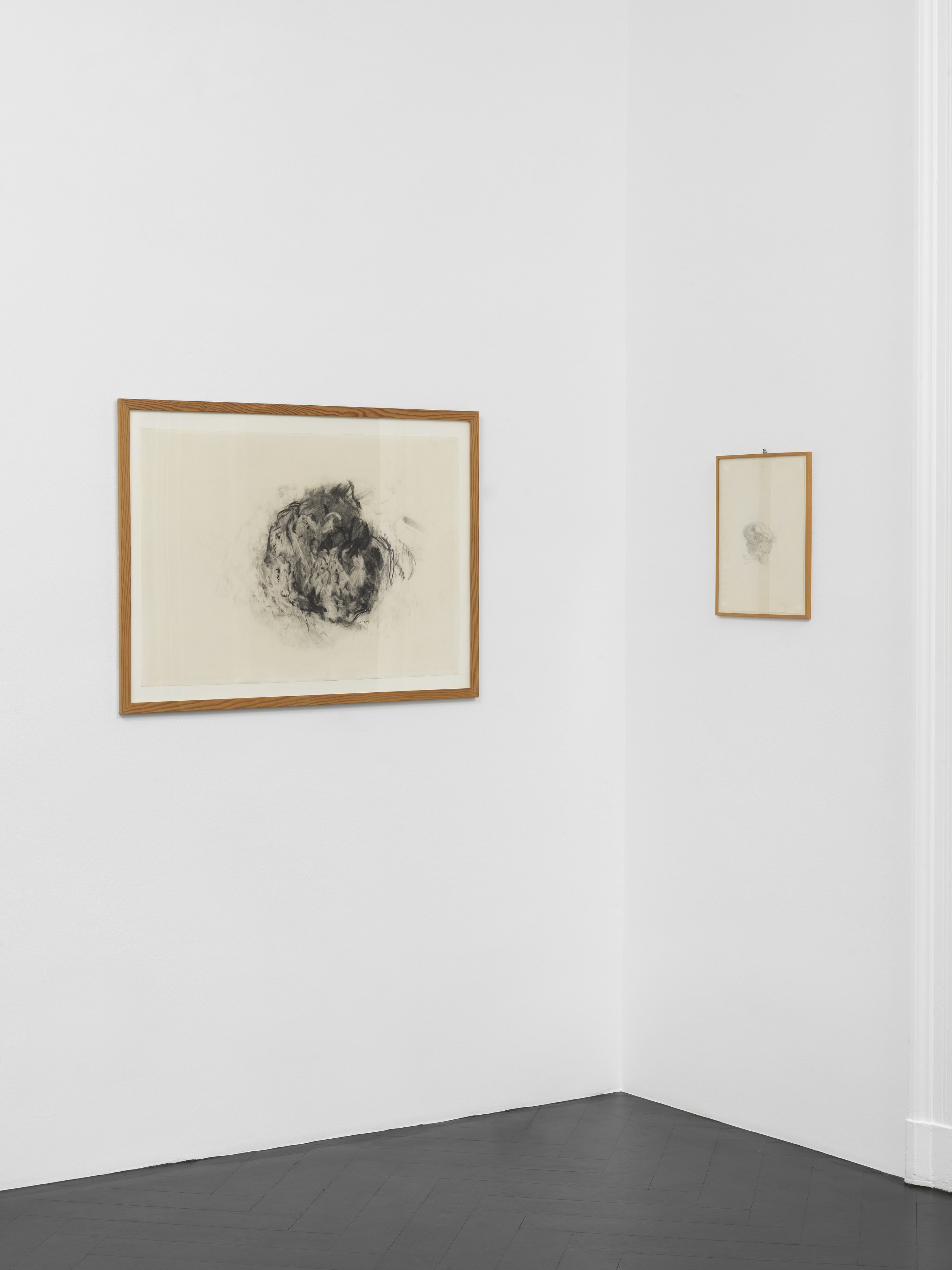 Michael Krebber, Angeldust at Galerie Buchholz, Berlin, photo 7