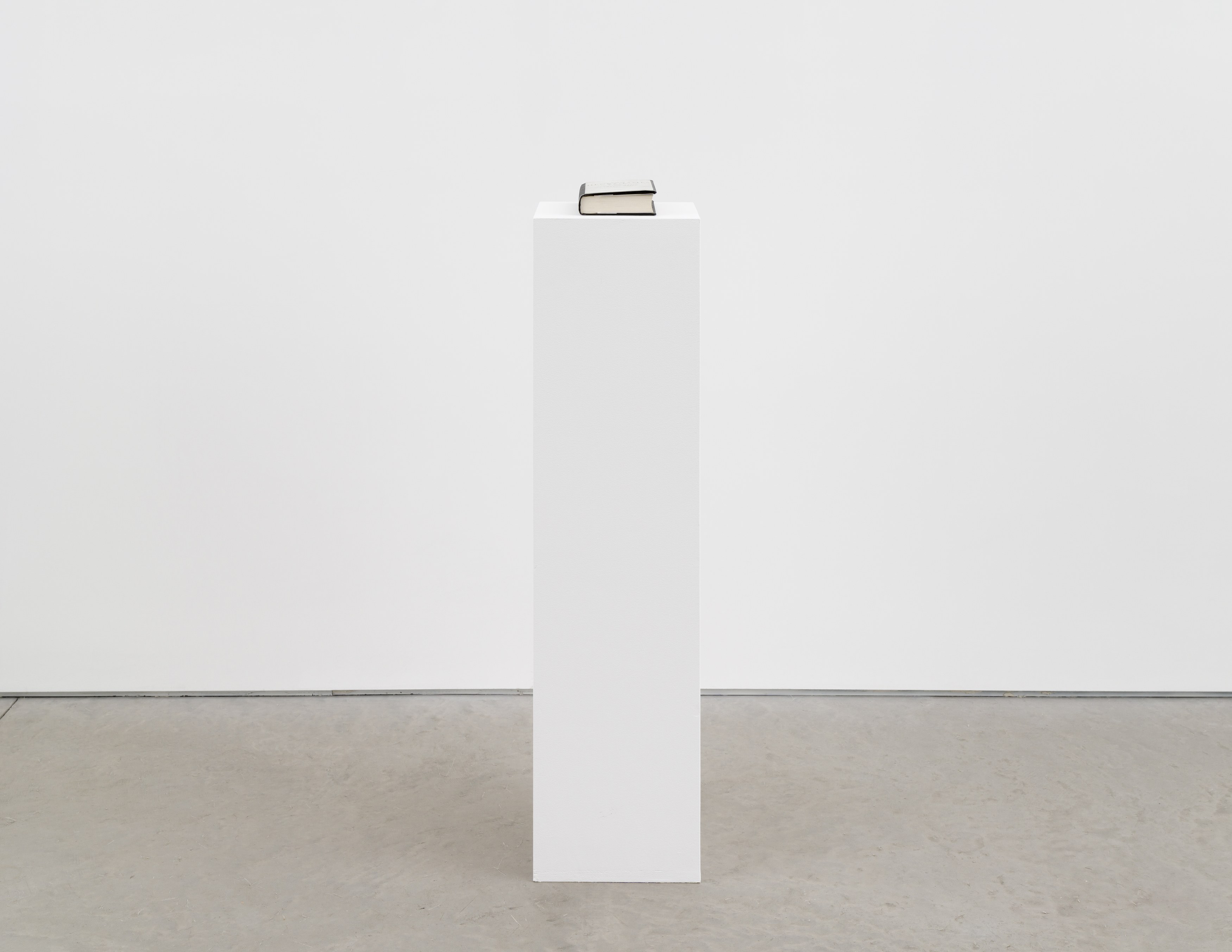Darren Bader, Youth at Matthew Brown, photo 27