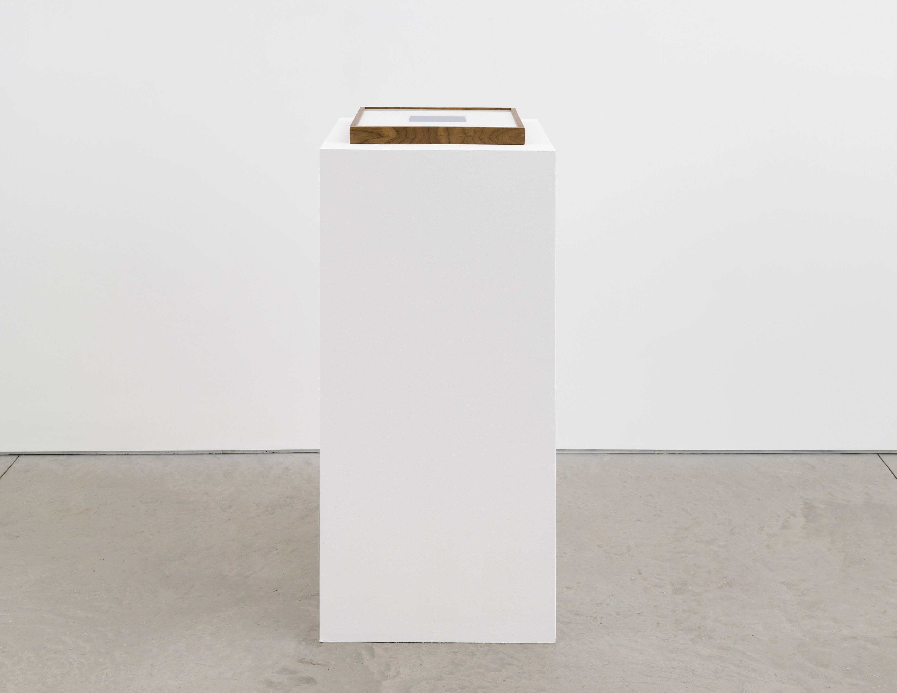 Darren Bader, Youth at Matthew Brown, photo 31