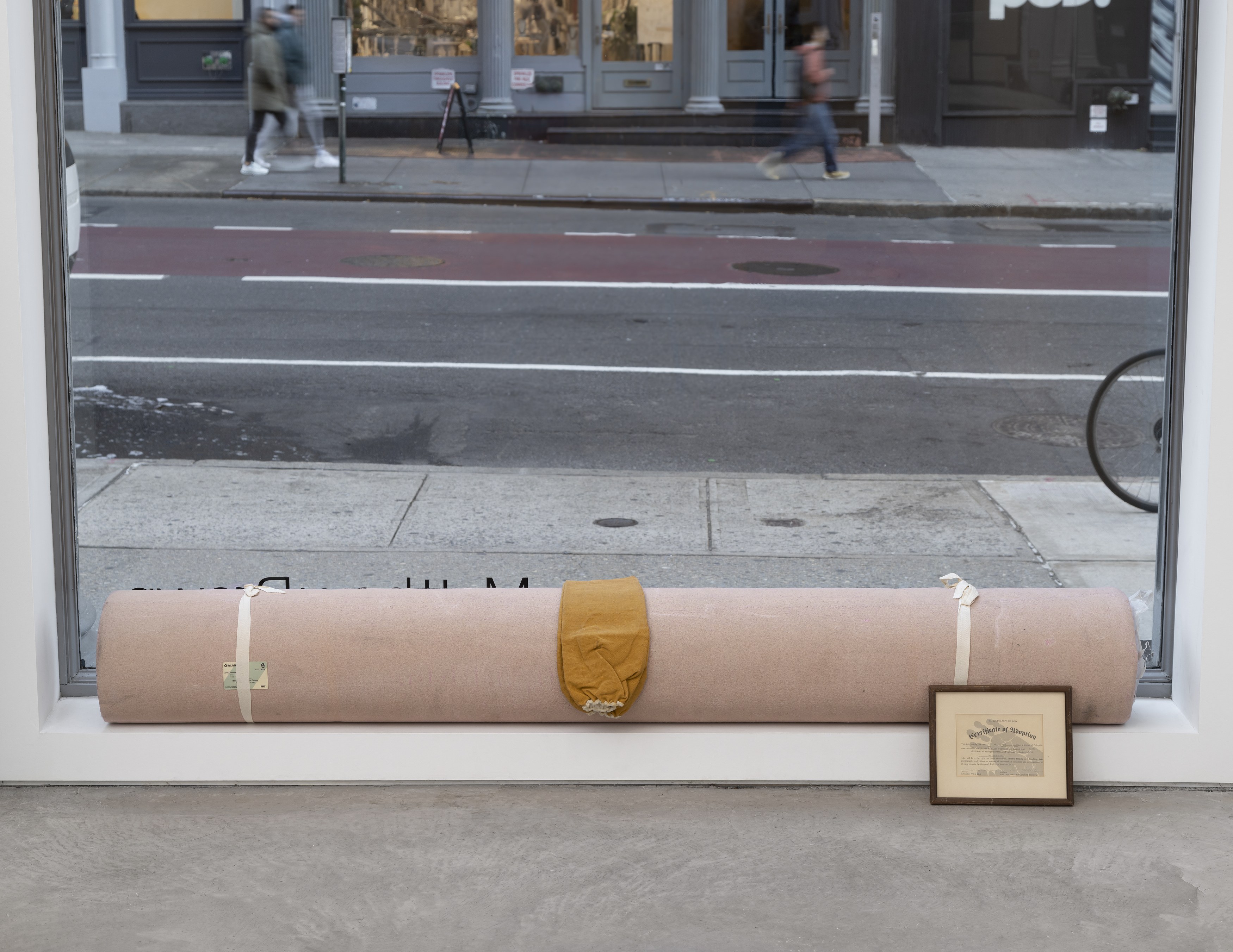 Darren Bader, Youth at Matthew Brown, photo 40